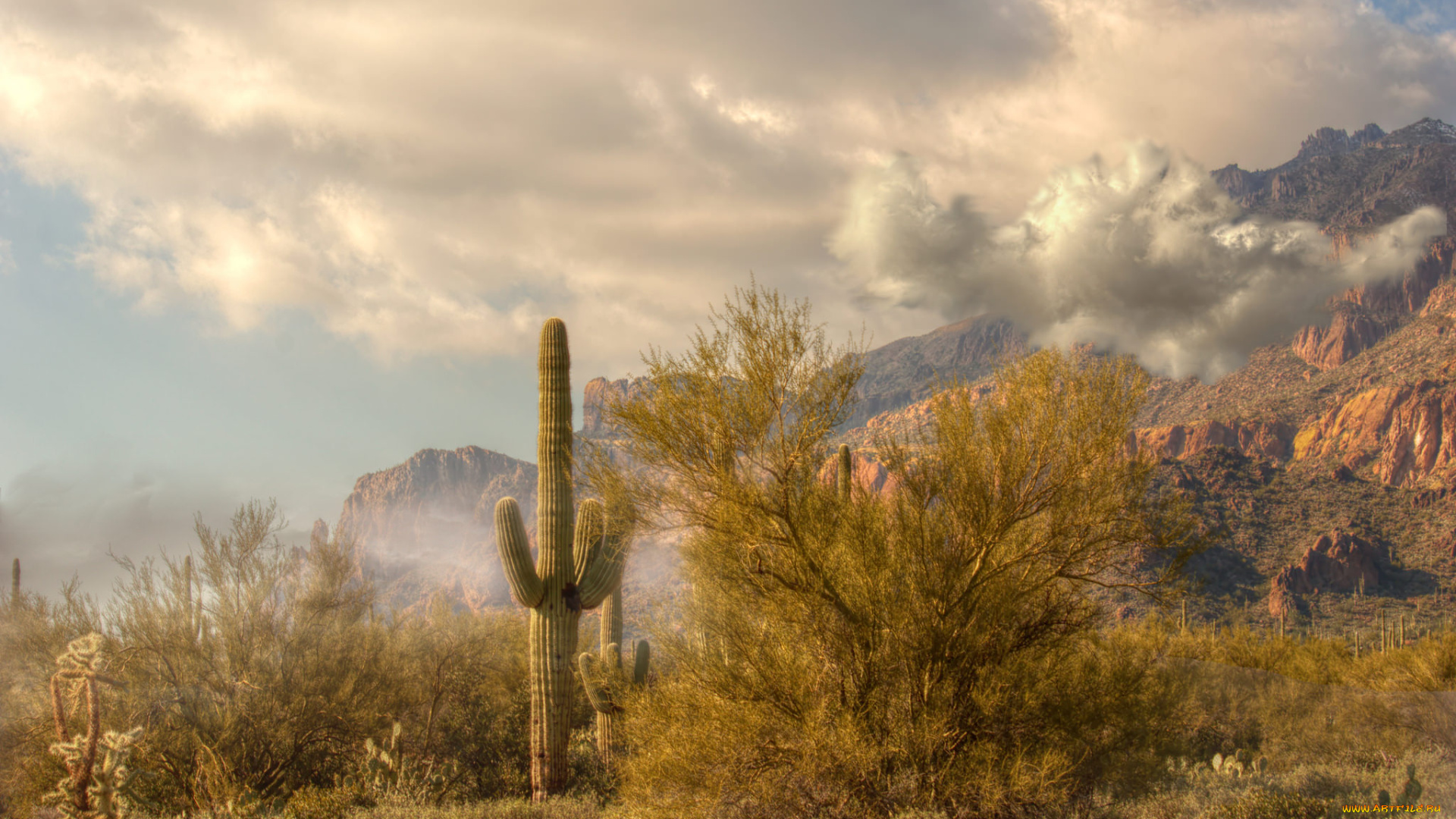 природа, горы, простор