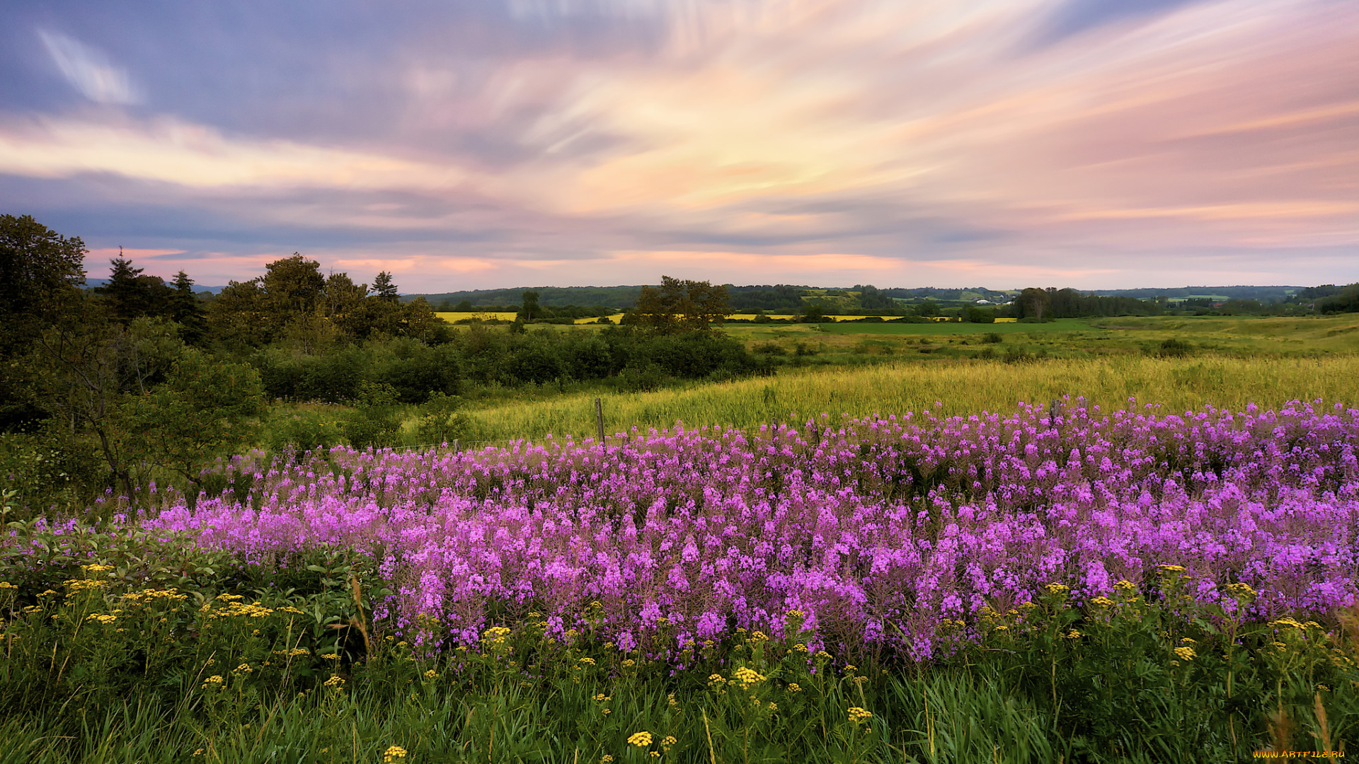 природа, луга, рассвет