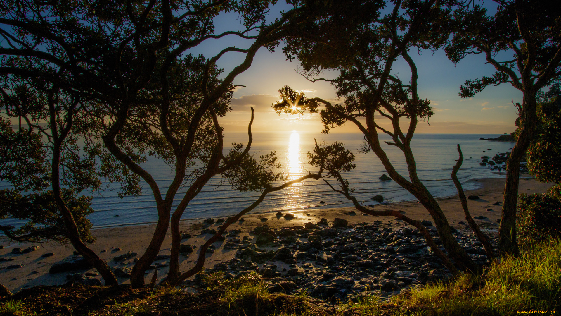 природа, побережье, берег, море