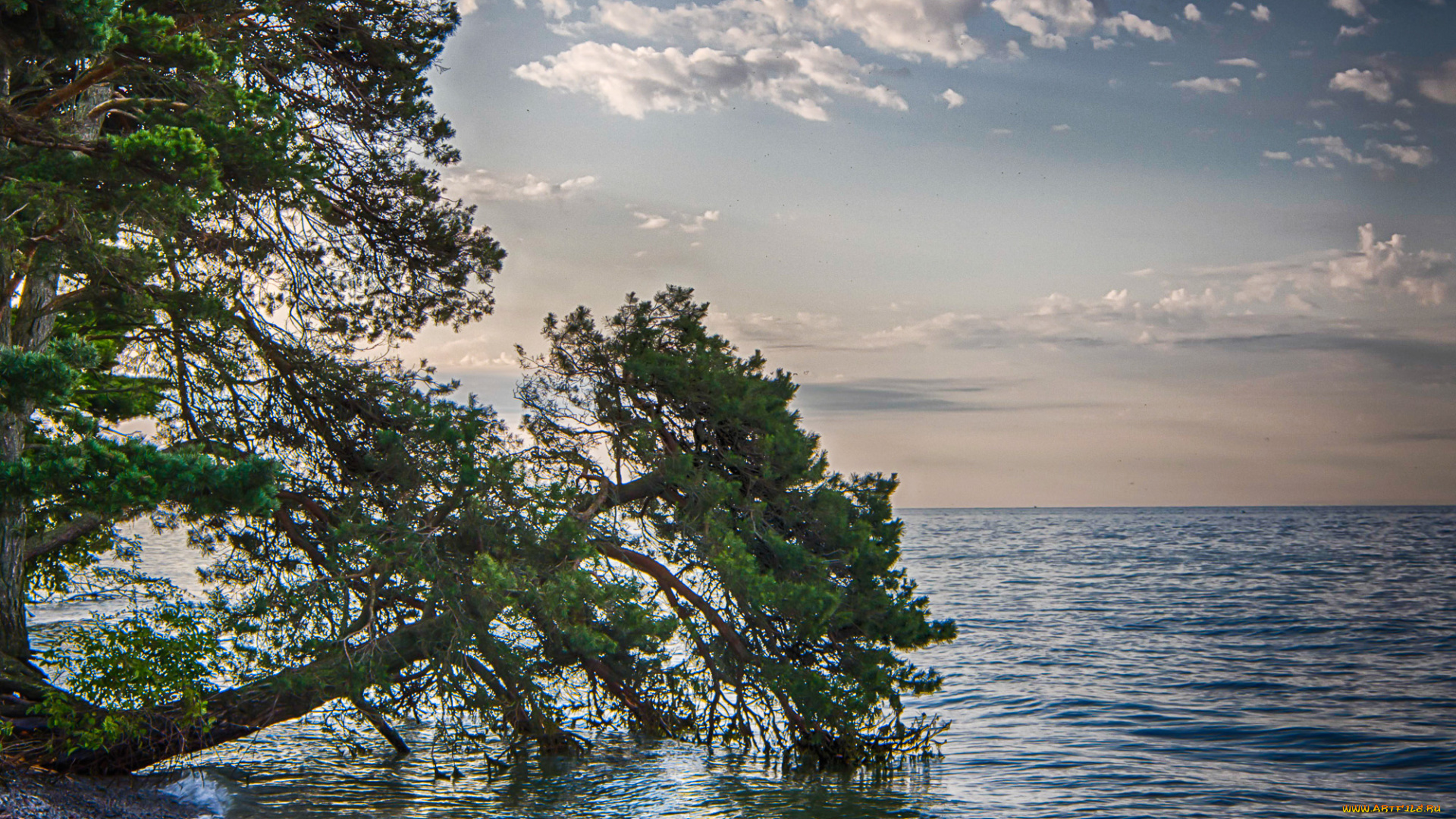 природа, побережье, берег, море