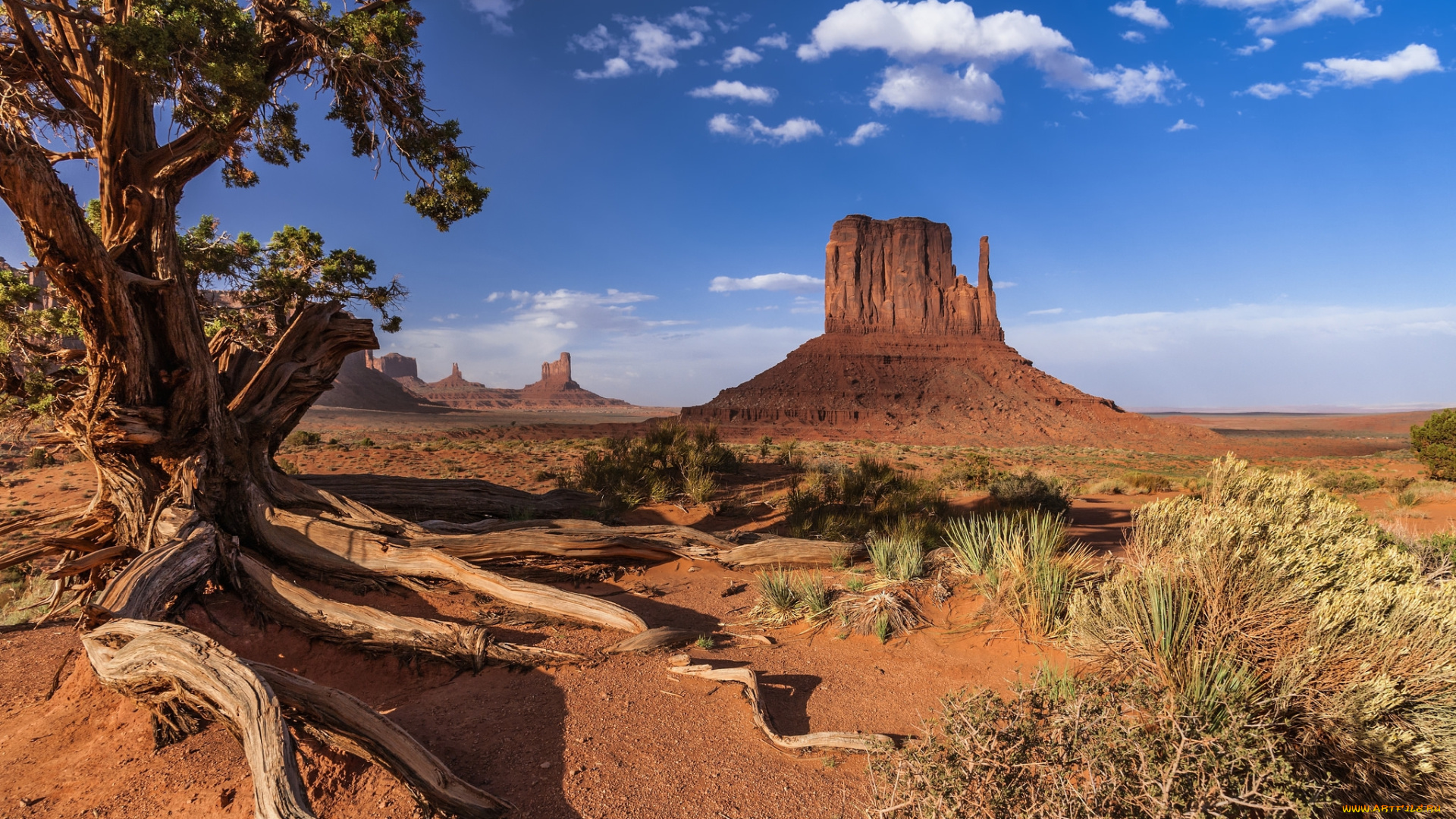 природа, пустыни, простор