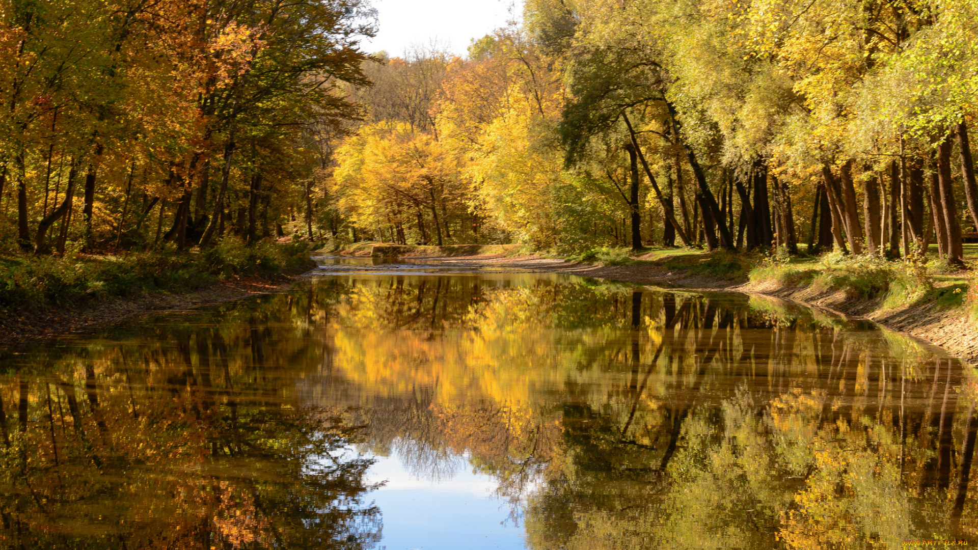 природа, реки, озера, лес, река