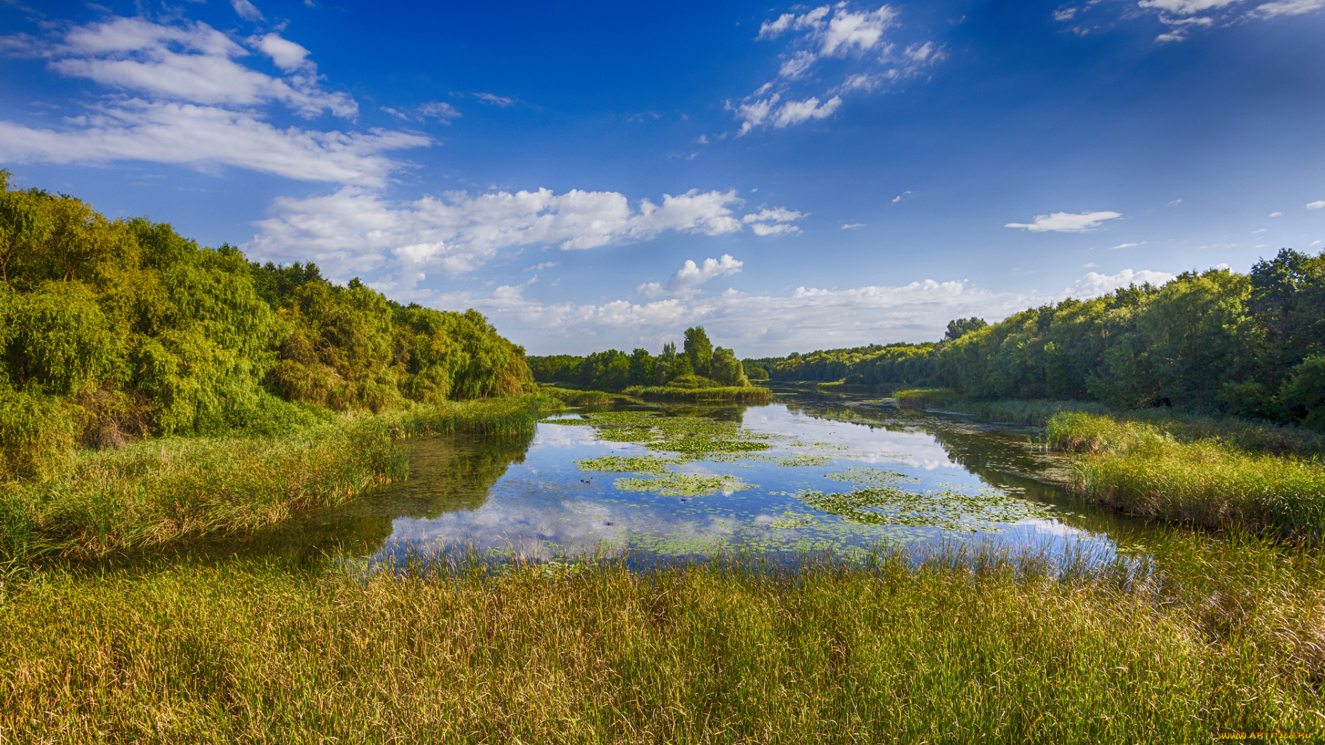 природа, реки, озера, лес, река