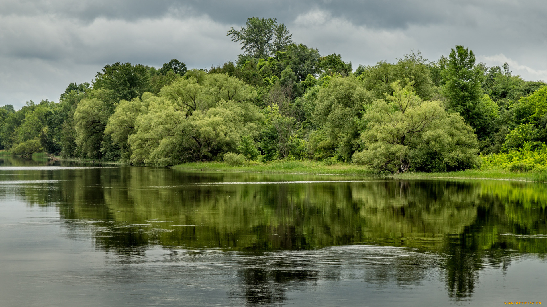 природа, реки, озера, лес, река