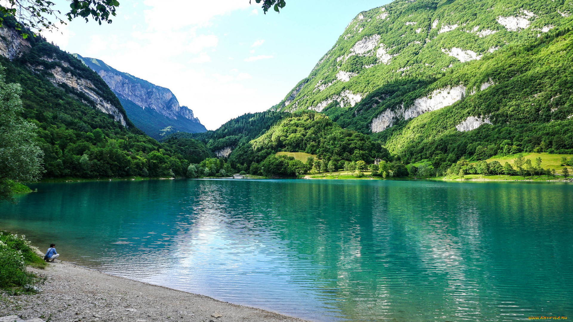 природа, реки, озера, река, лес