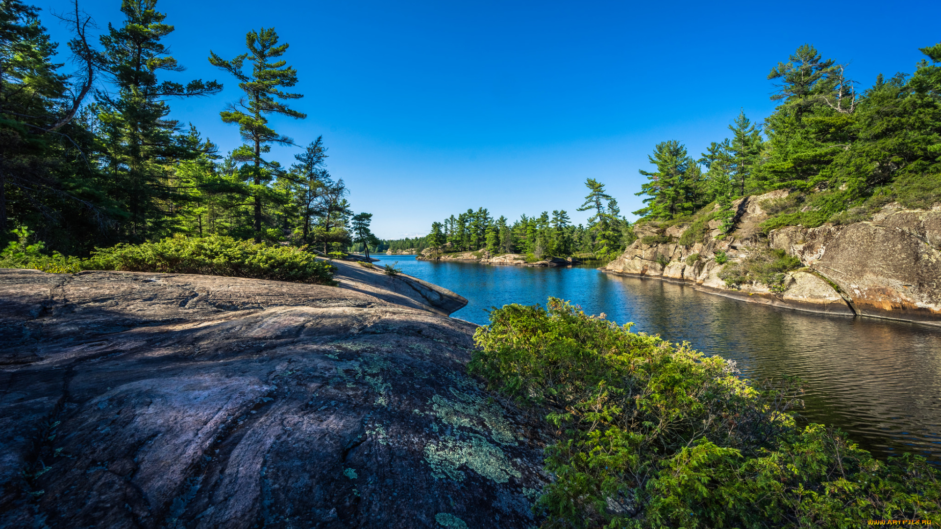 природа, реки, озера, река, лес