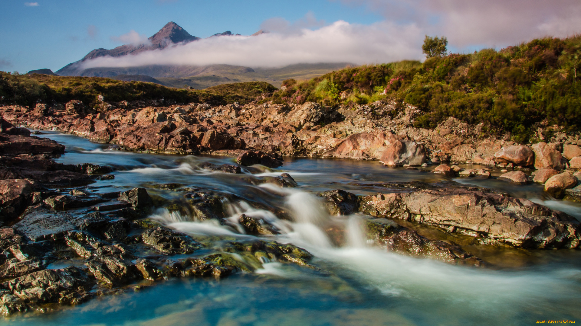 природа, реки, озера, река, лес