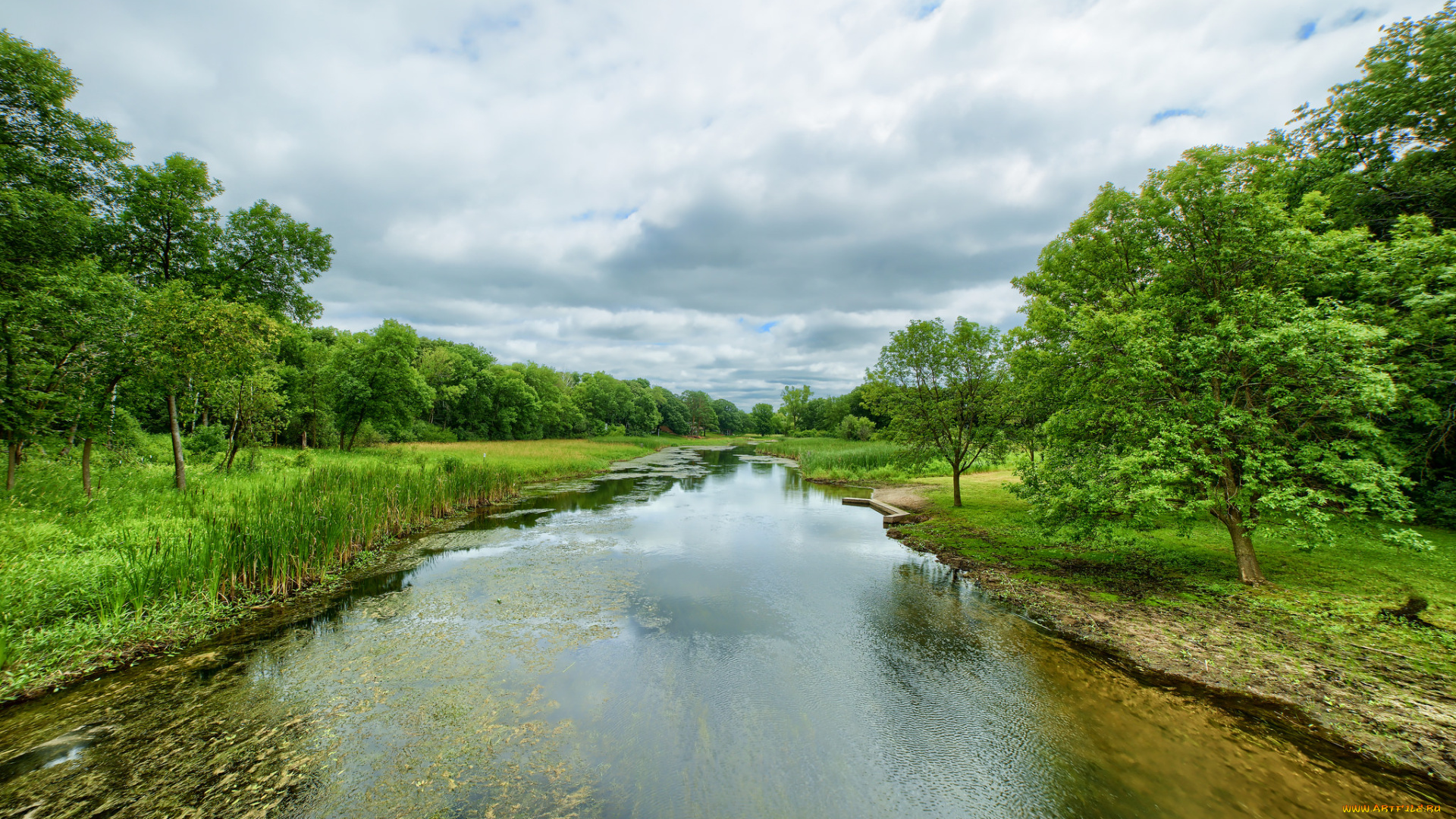 природа, реки, озера, река, лес