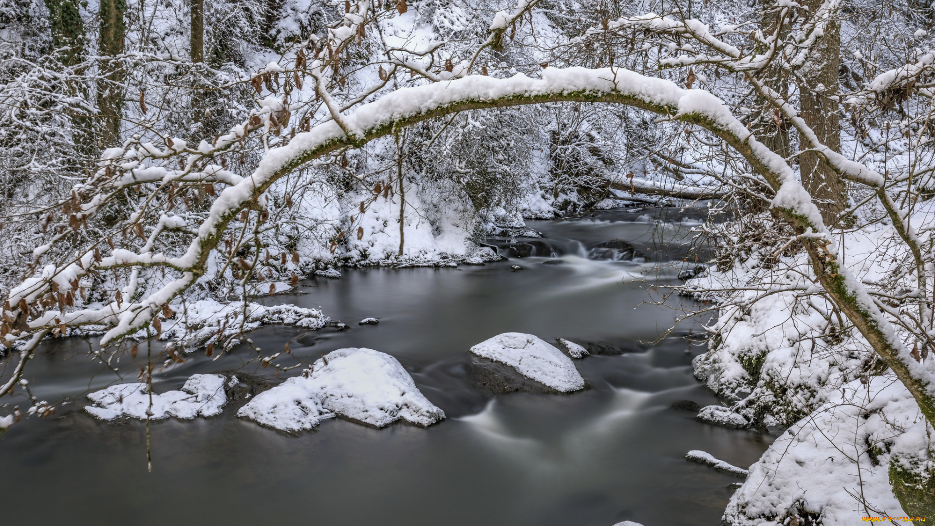природа, реки, озера, снег