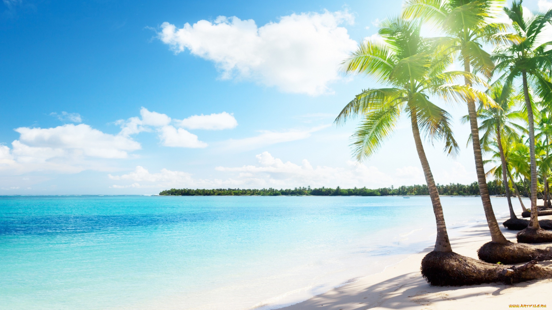 природа, тропики, море, облака, пальмы