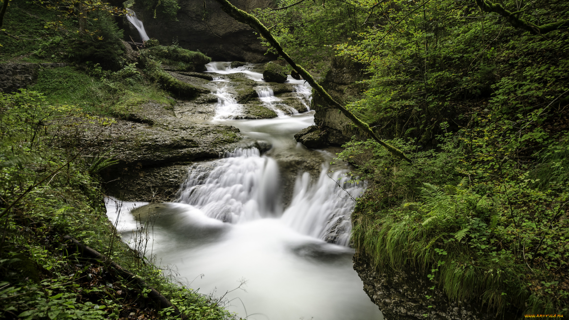 природа, водопады, лес, река, водопад