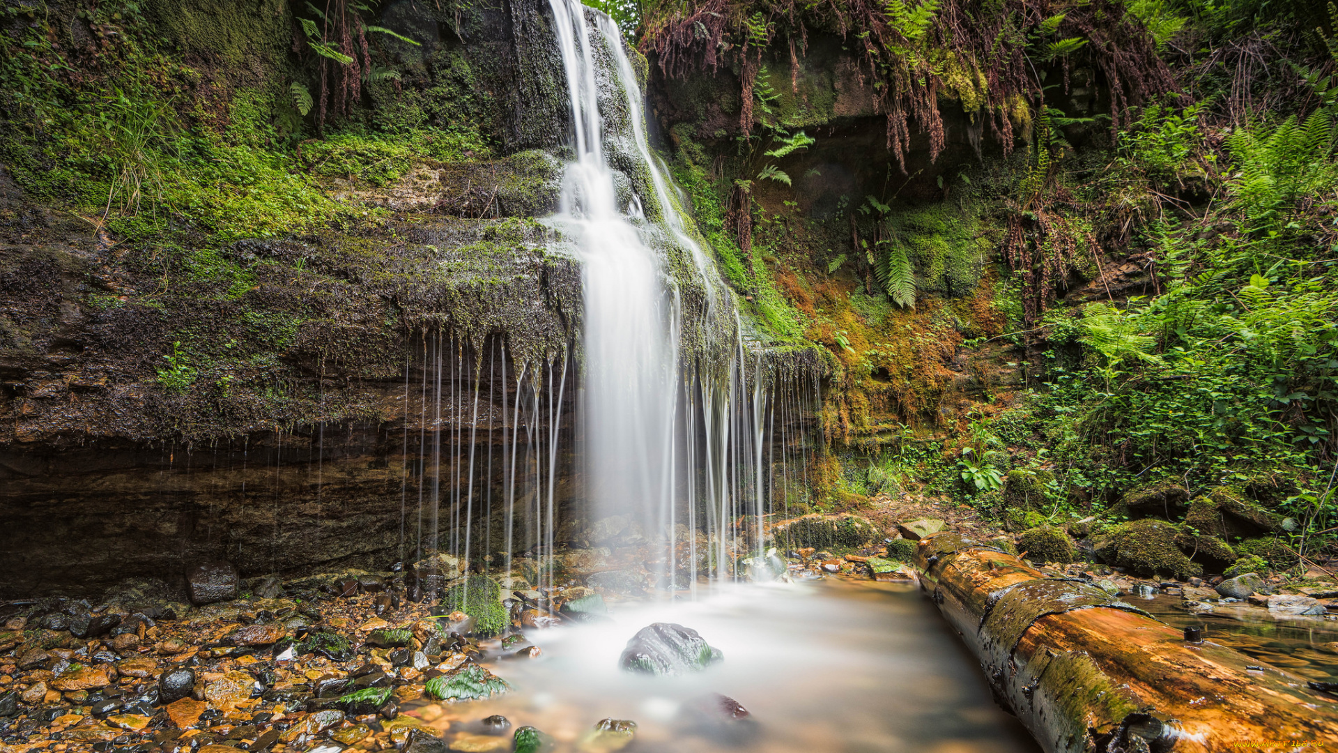 природа, водопады, лес, река, водопад
