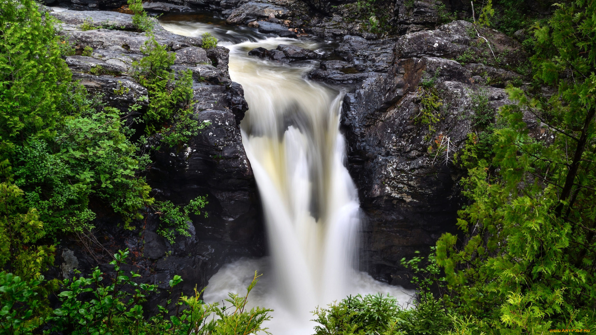 природа, водопады, лес, река, водопад