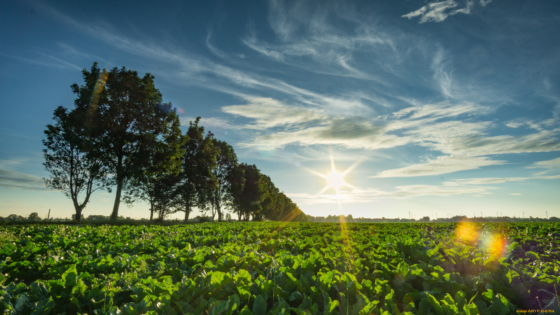 природа, восходы, закаты, рассвет
