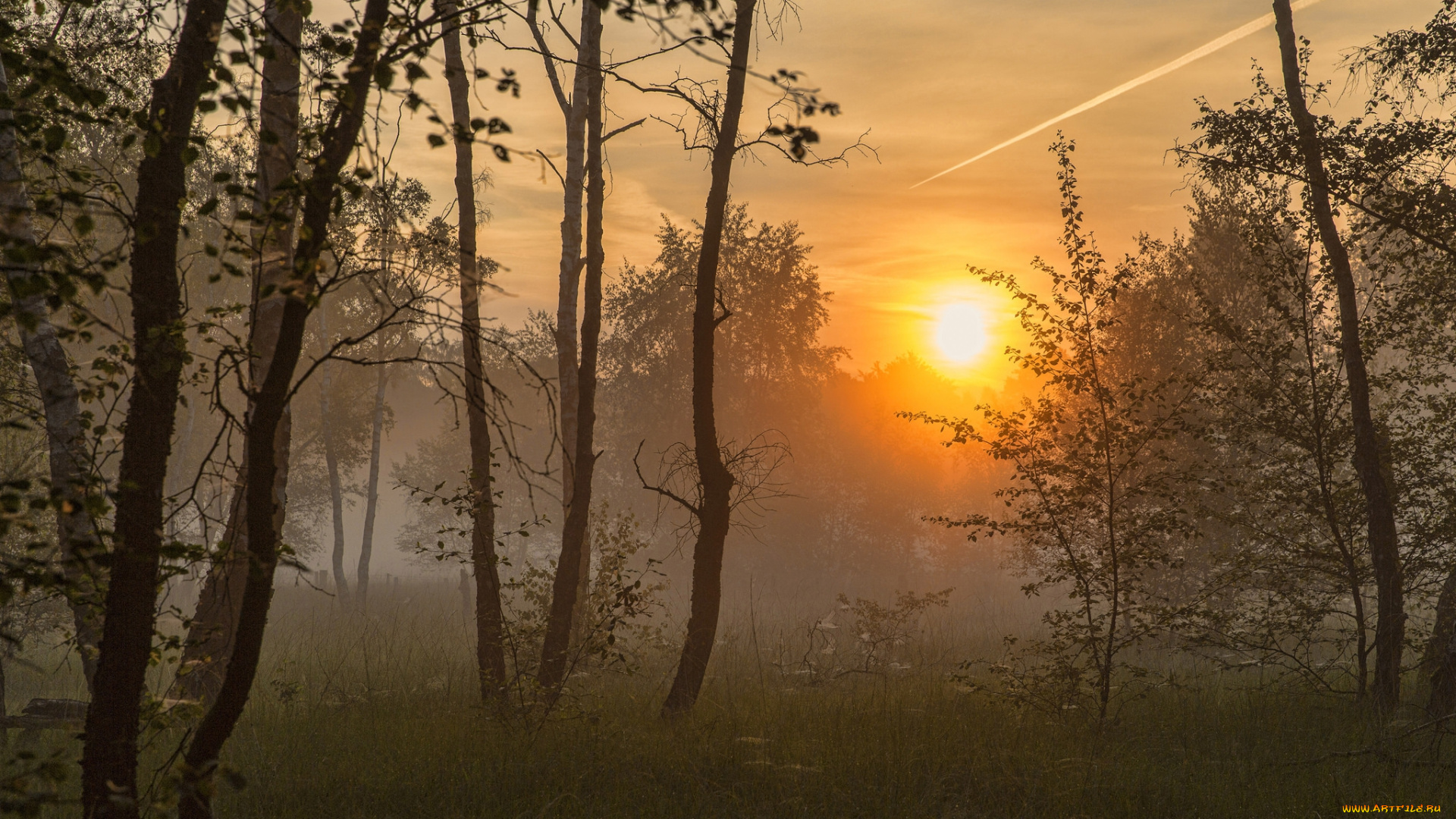 природа, восходы, закаты, рассвет