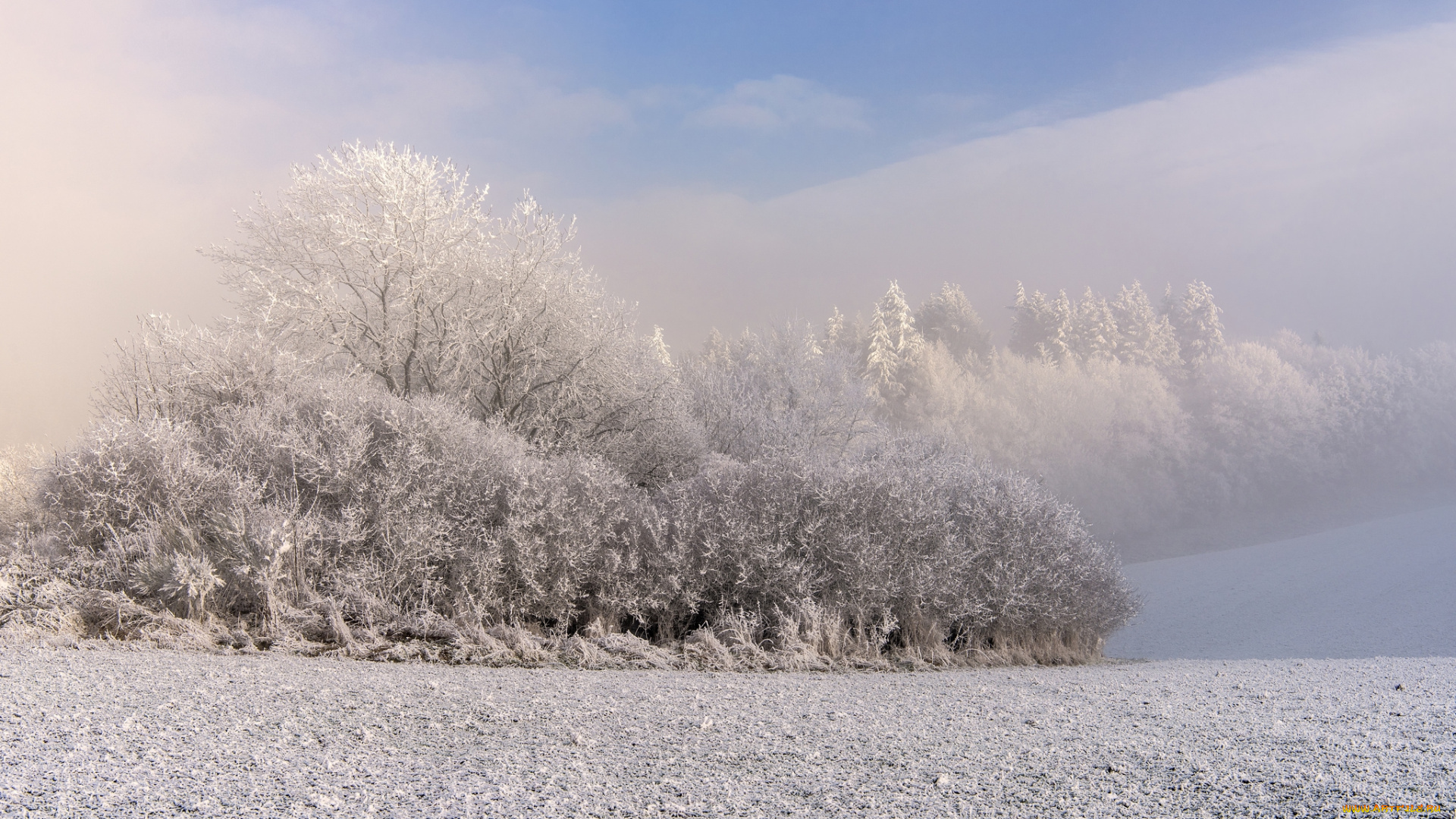 природа, зима, снег