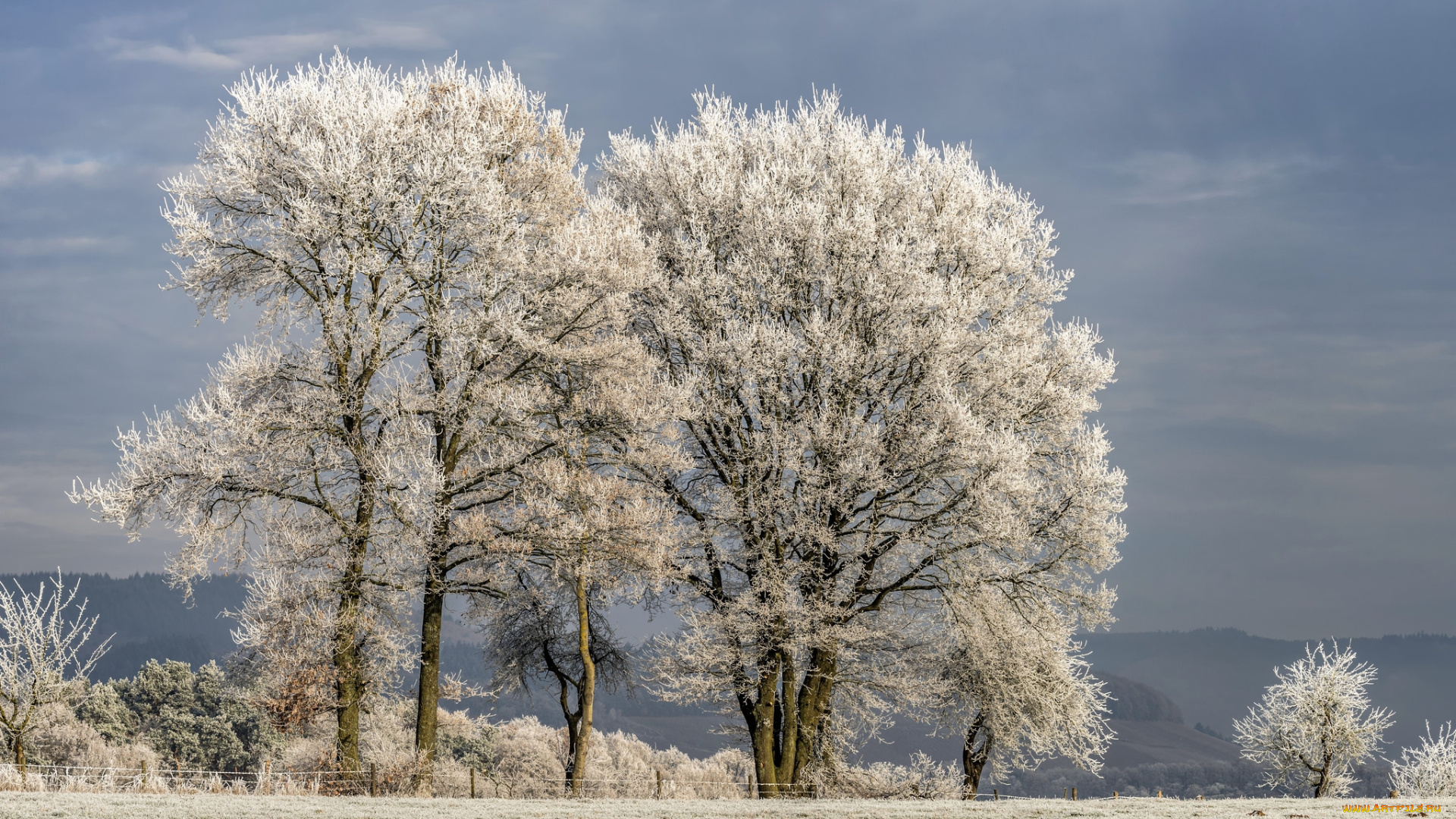 природа, зима, снег