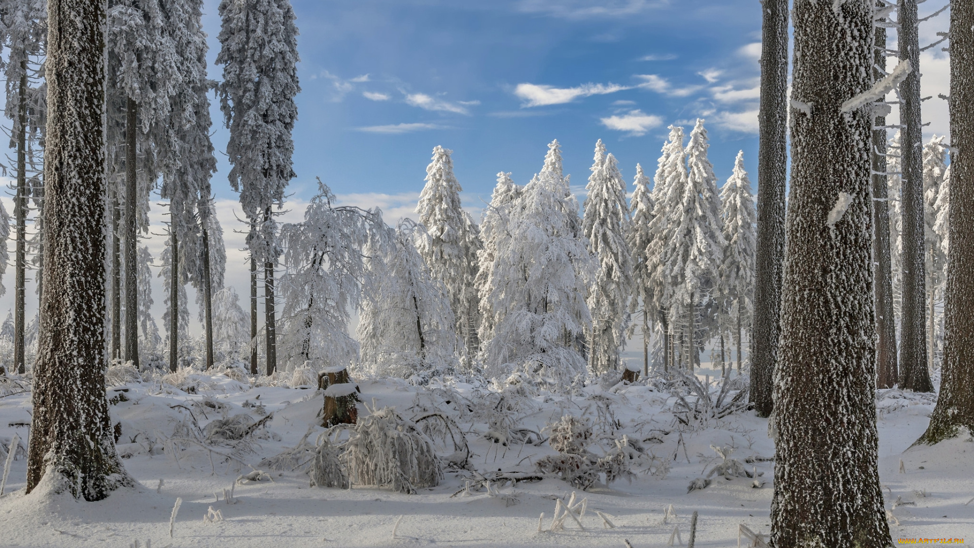 природа, зима, снег