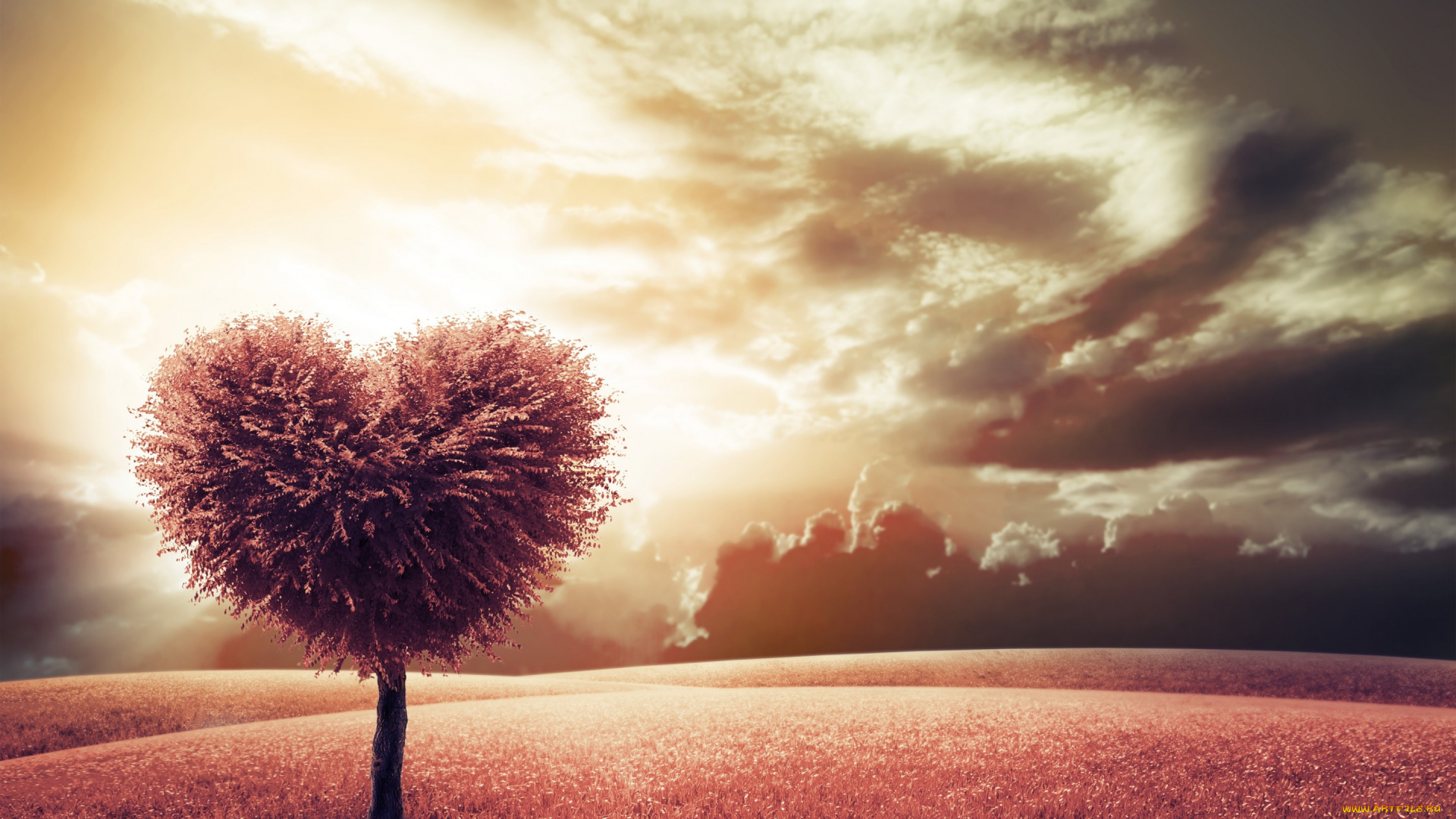 разное, компьютерный, дизайн, луг, сердце, дерево