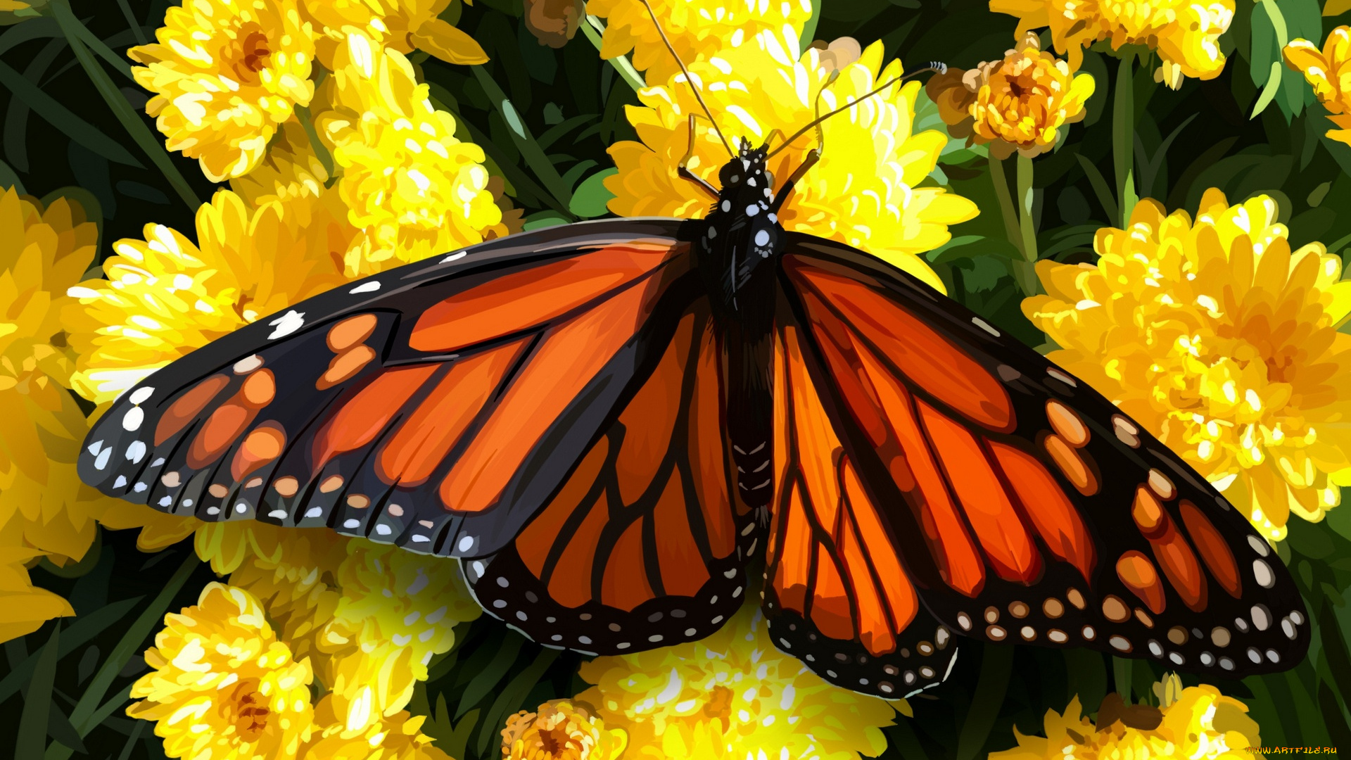 рисованное, животные, , бабочки, цветы