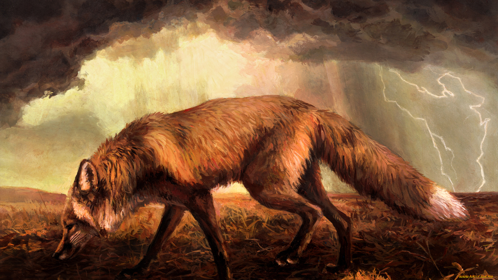 рисованное, животные, , лисы, трава, тучи, молния