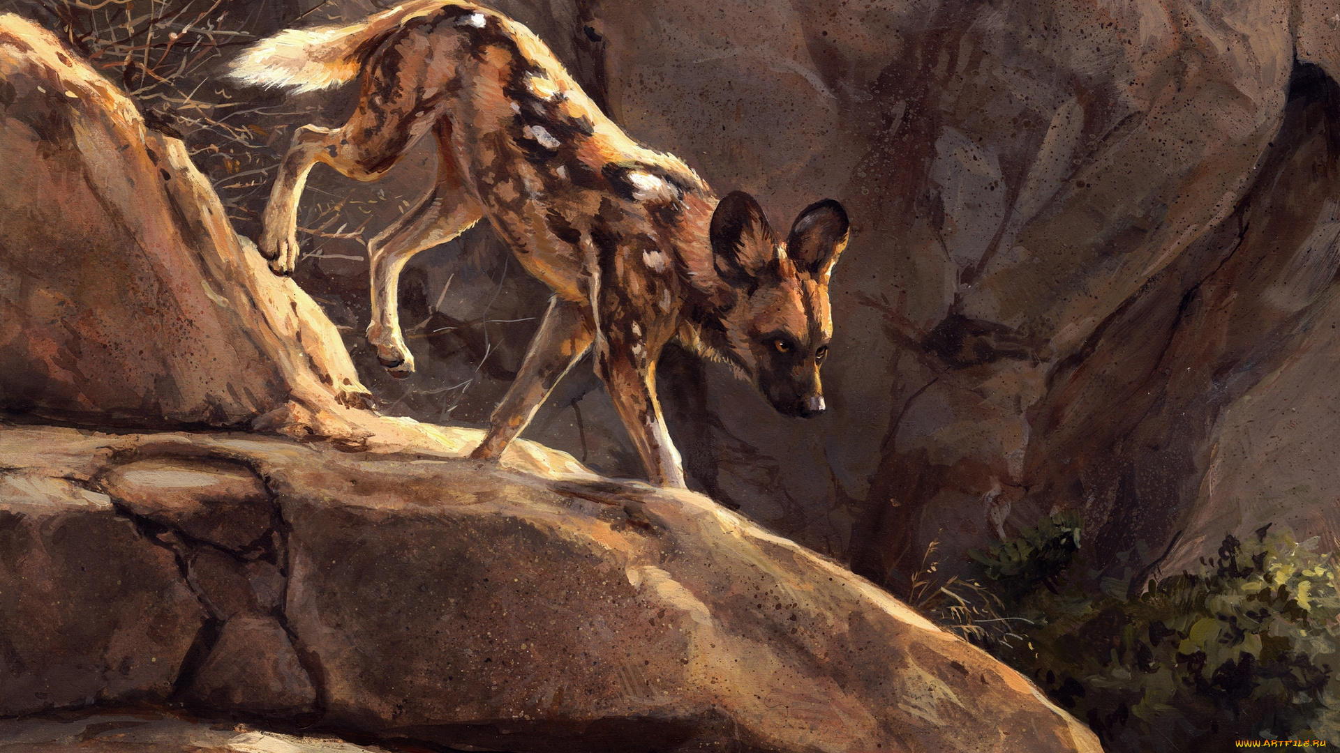 рисованное, животные, спуск, растения, камни