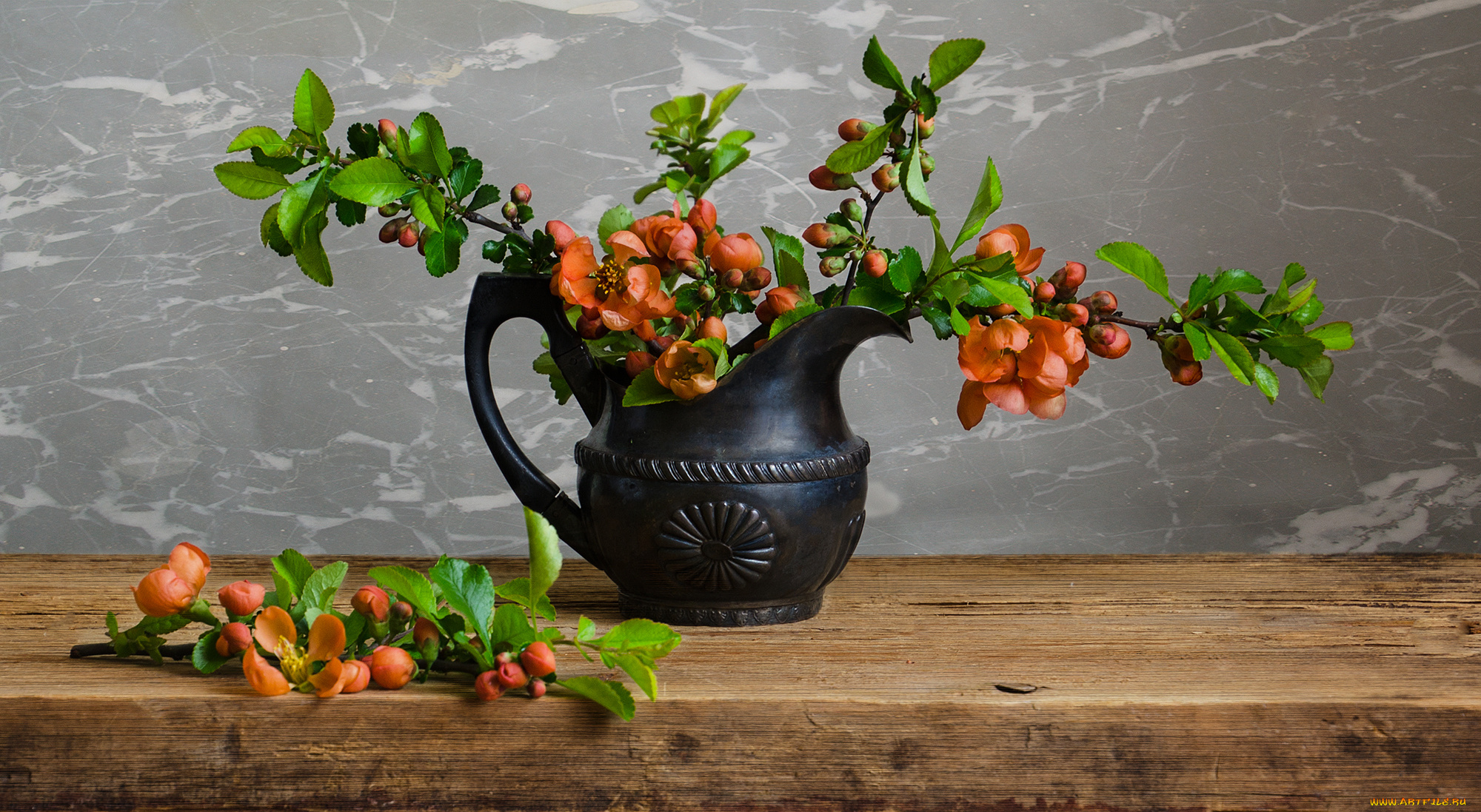 цветы, айва, дерево, ветка, айвы, мрамор