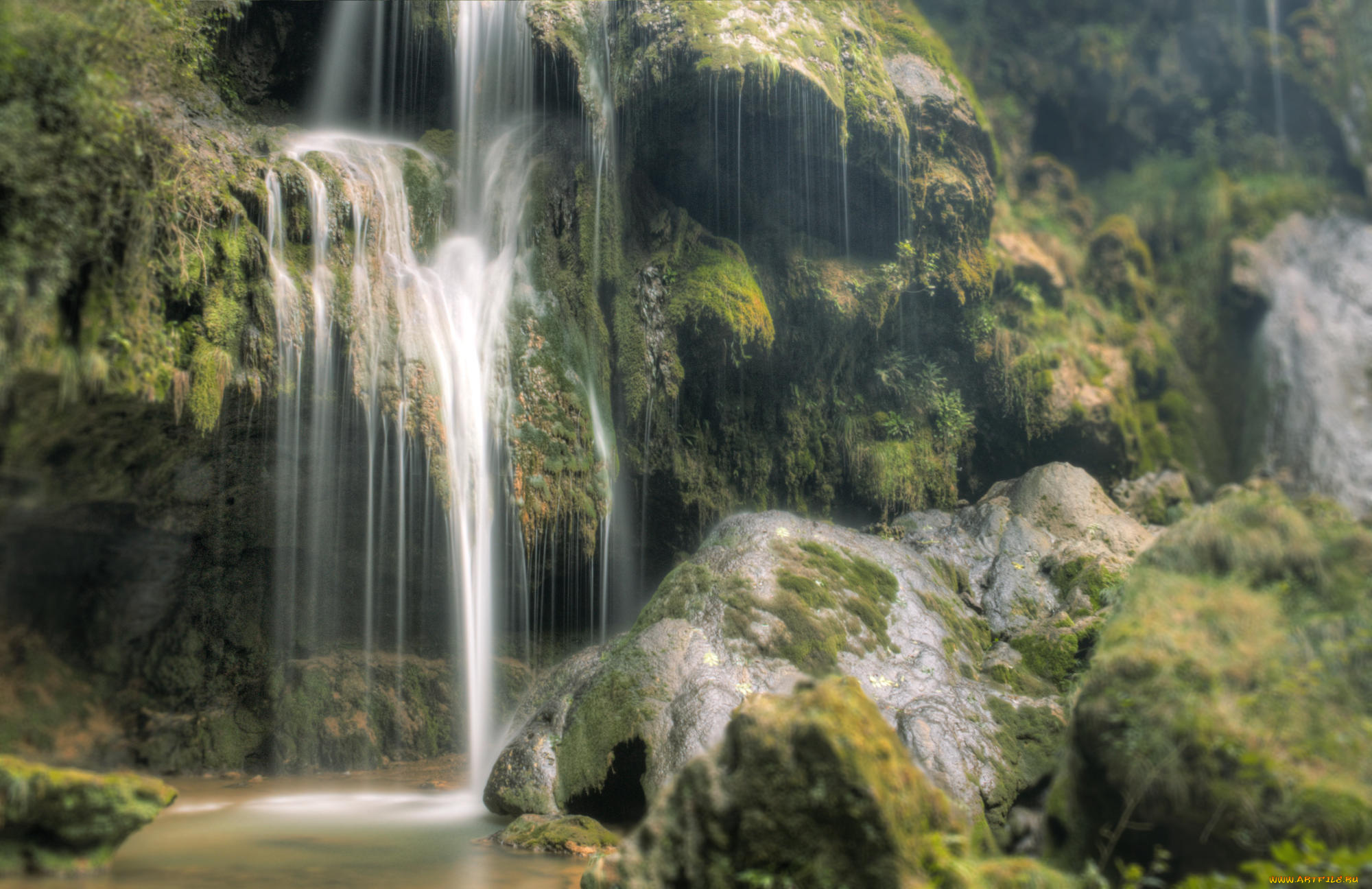 природа, водопады, лес, река, водопад