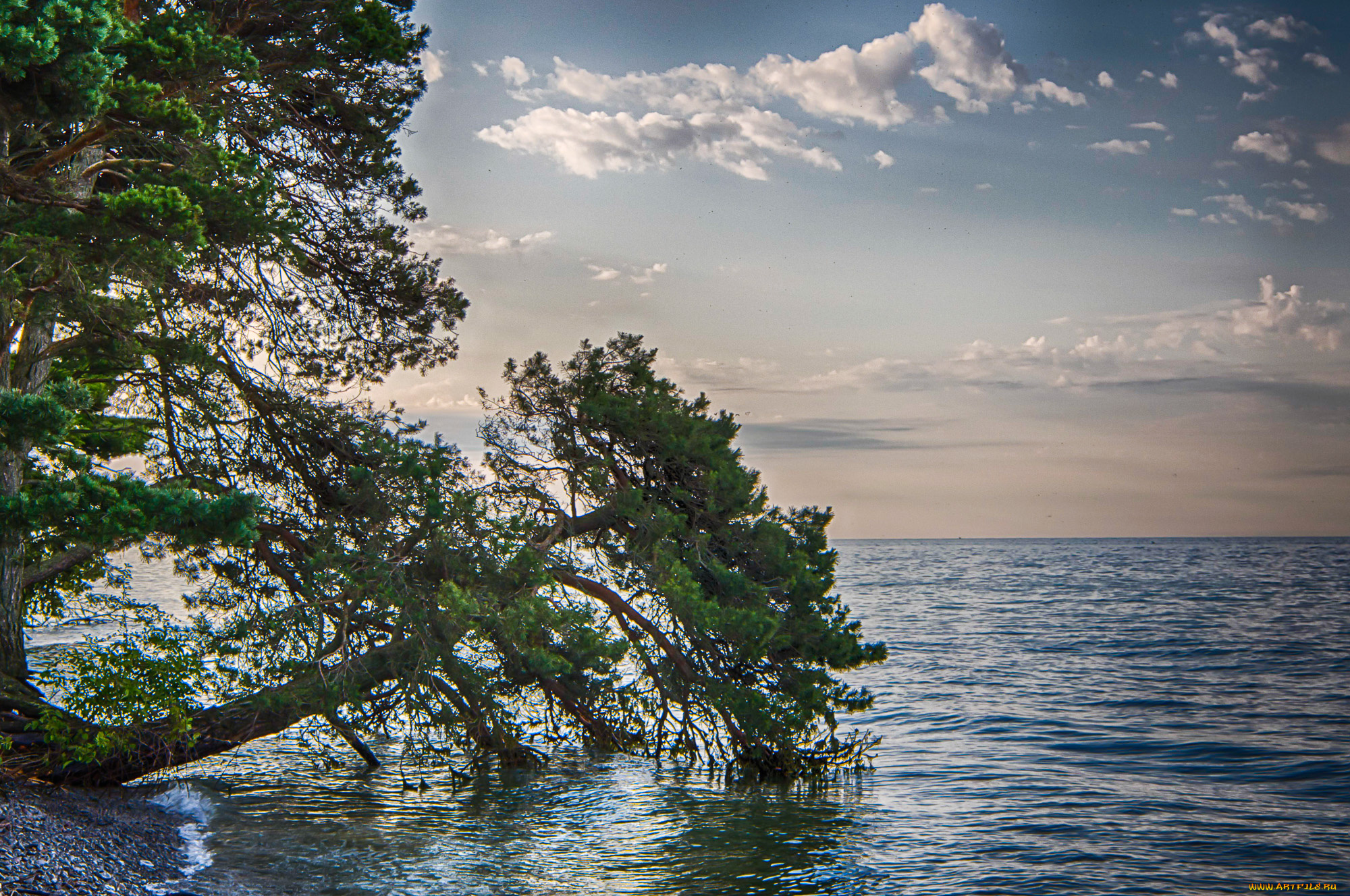 природа, побережье, берег, море