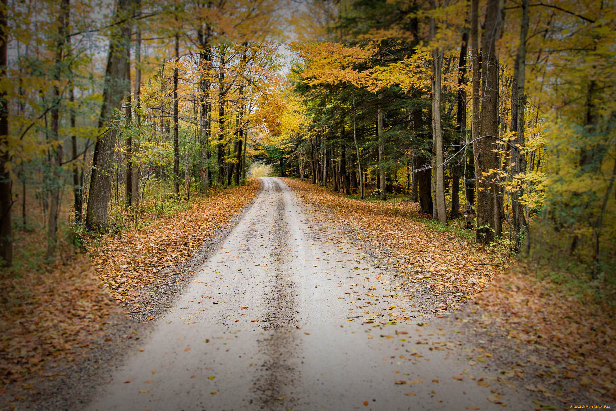 природа, дороги, тракт
