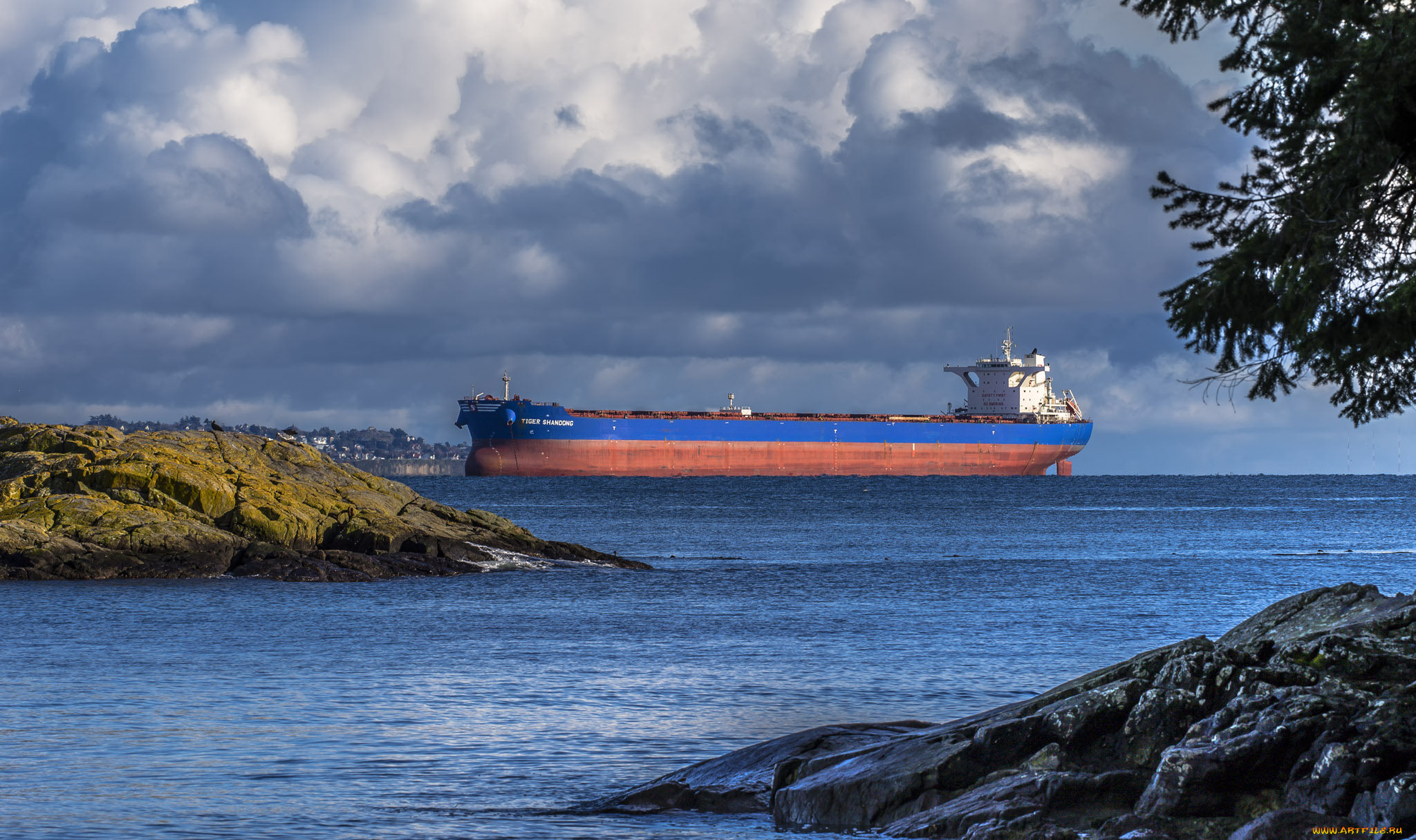 корабли, танкеры, танкер