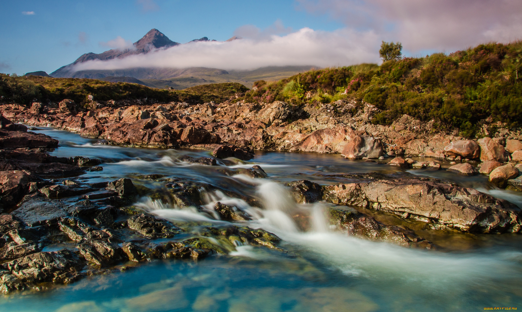 природа, реки, озера, река, лес