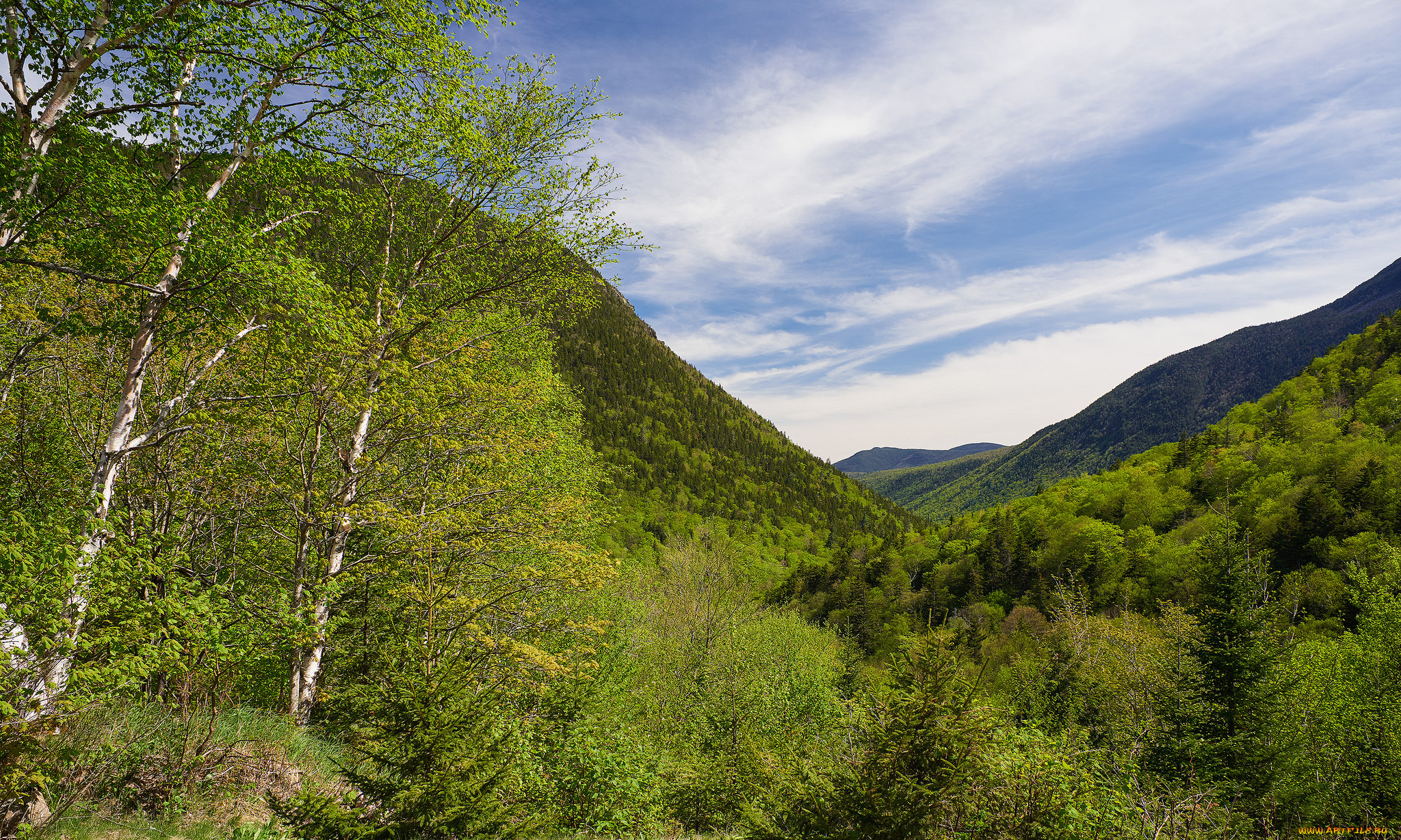 природа, горы, простор