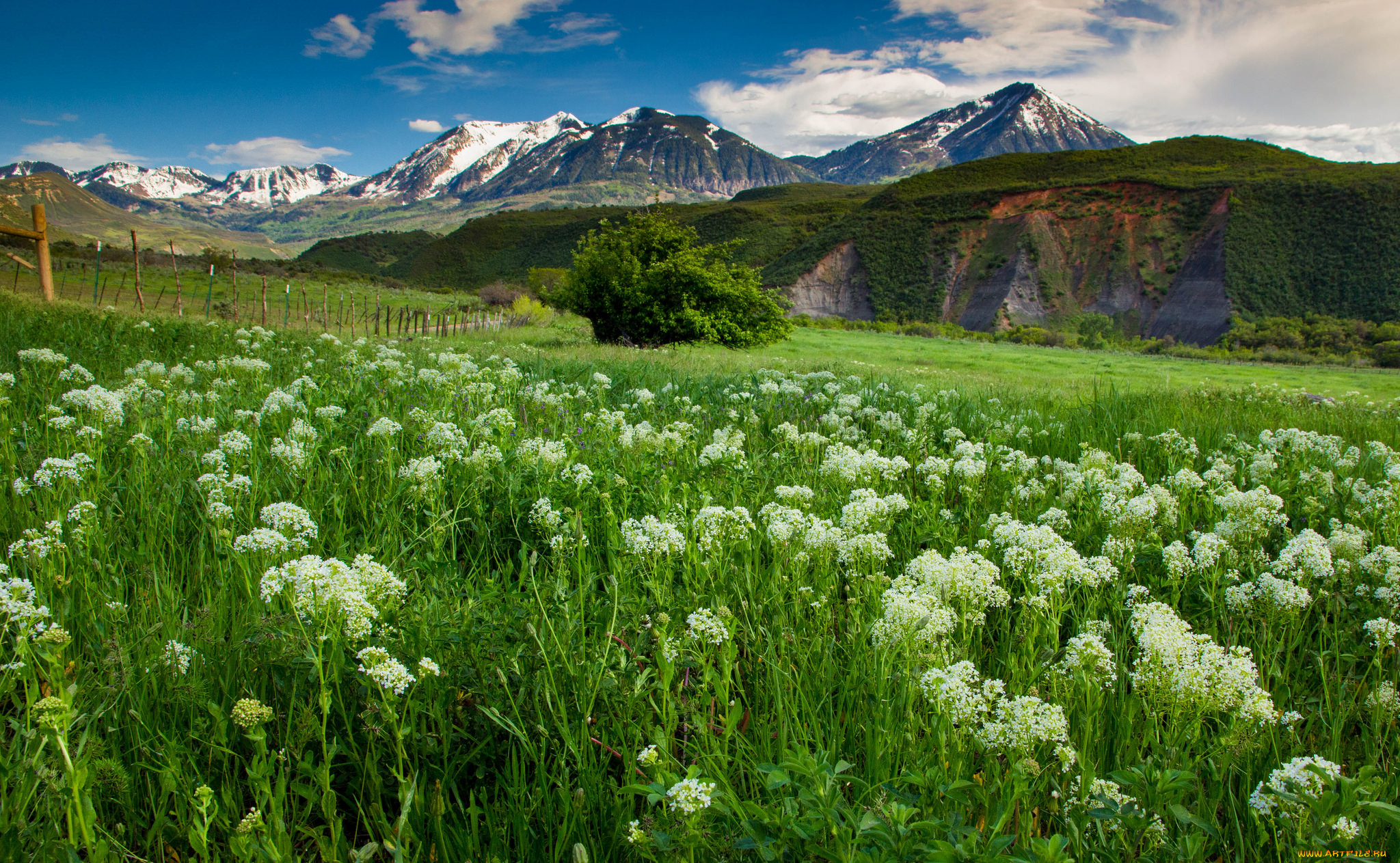 природа, горы, простор