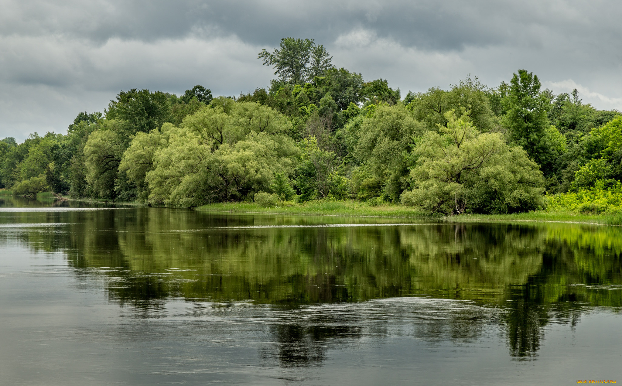 природа, реки, озера, лес, река