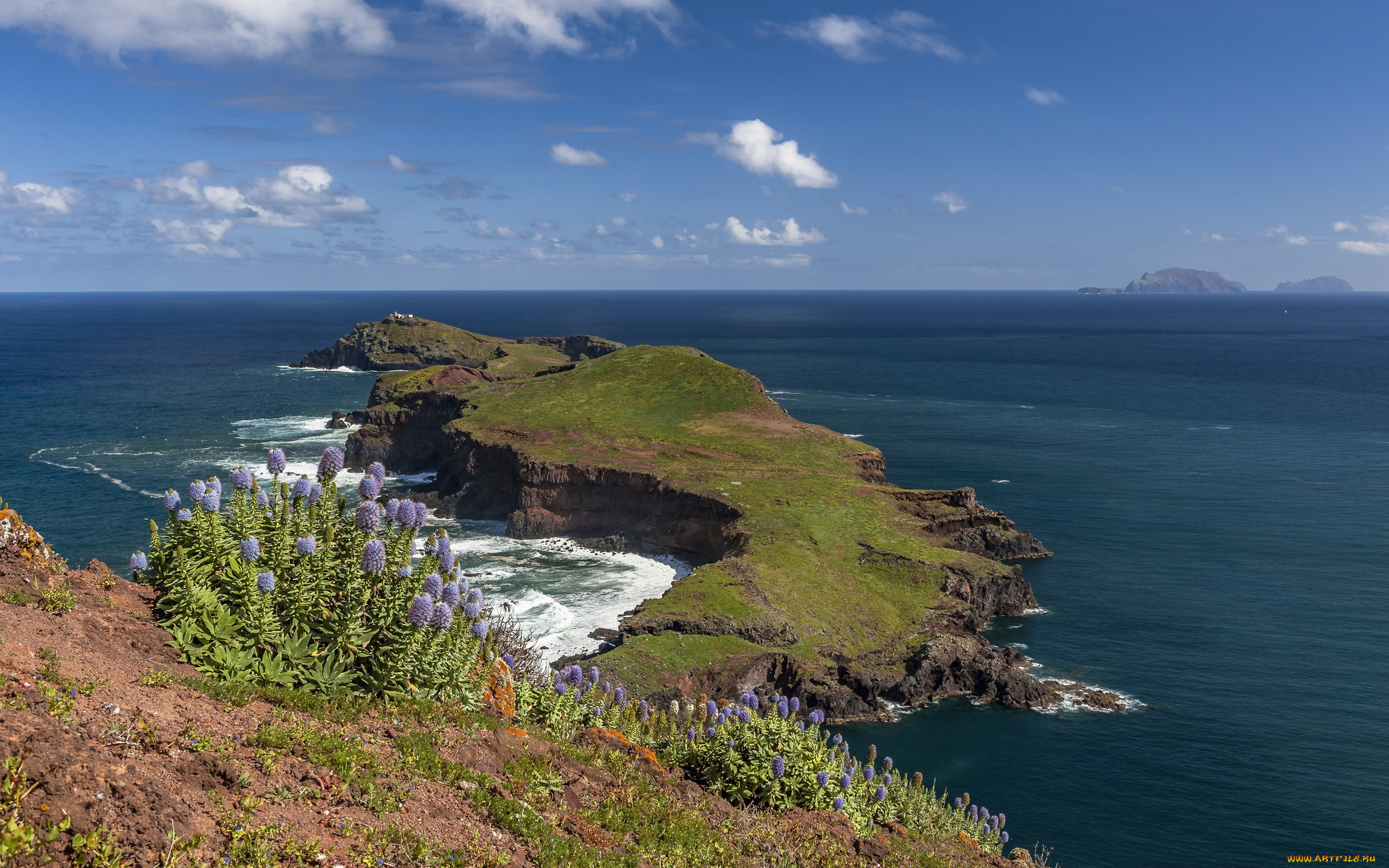 природа, побережье, берег, море