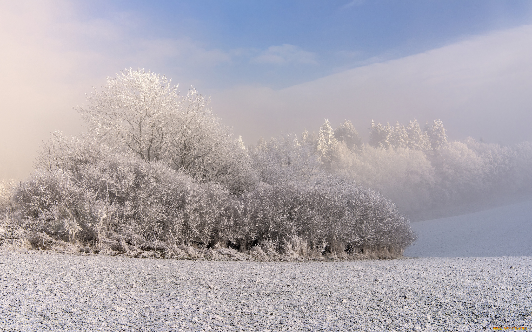 природа, зима, снег