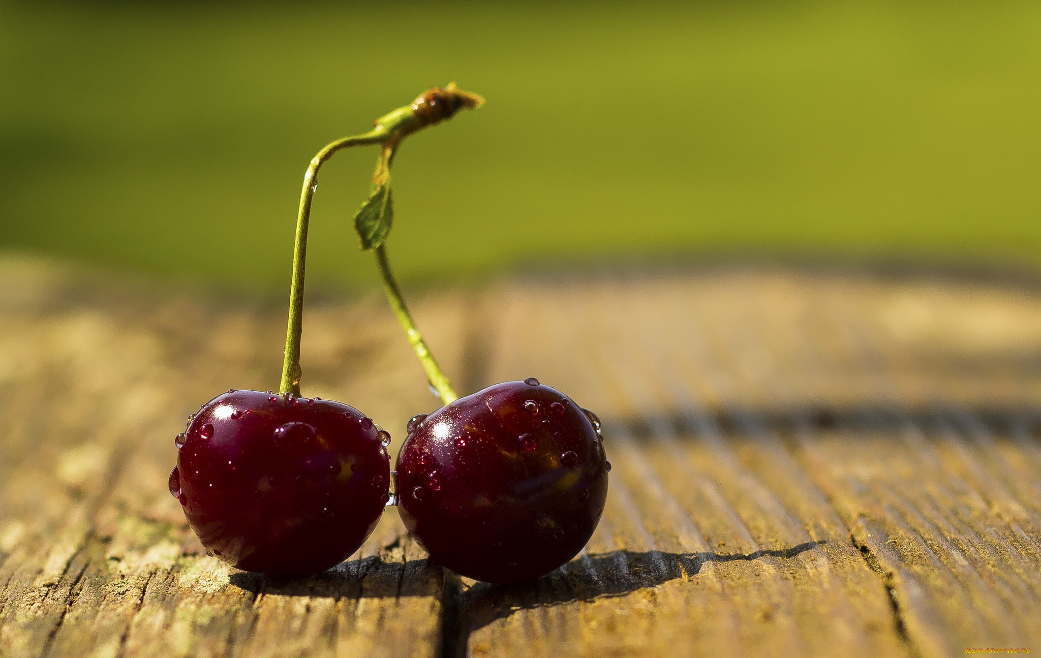 еда, вишня, , черешня, вкусная, сочная, ягода, черешня