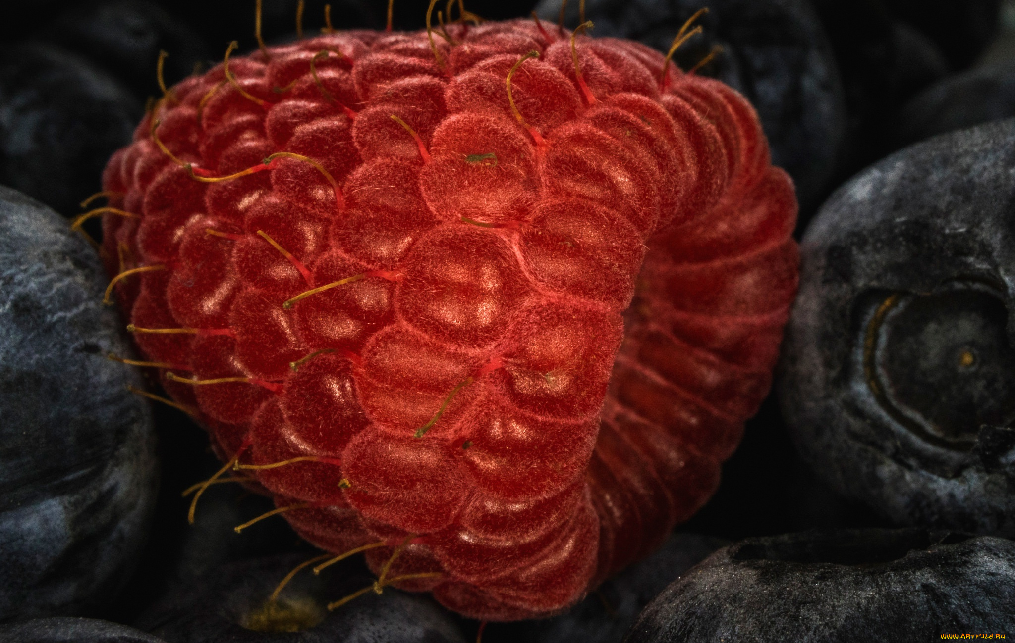 еда, малина, ягода