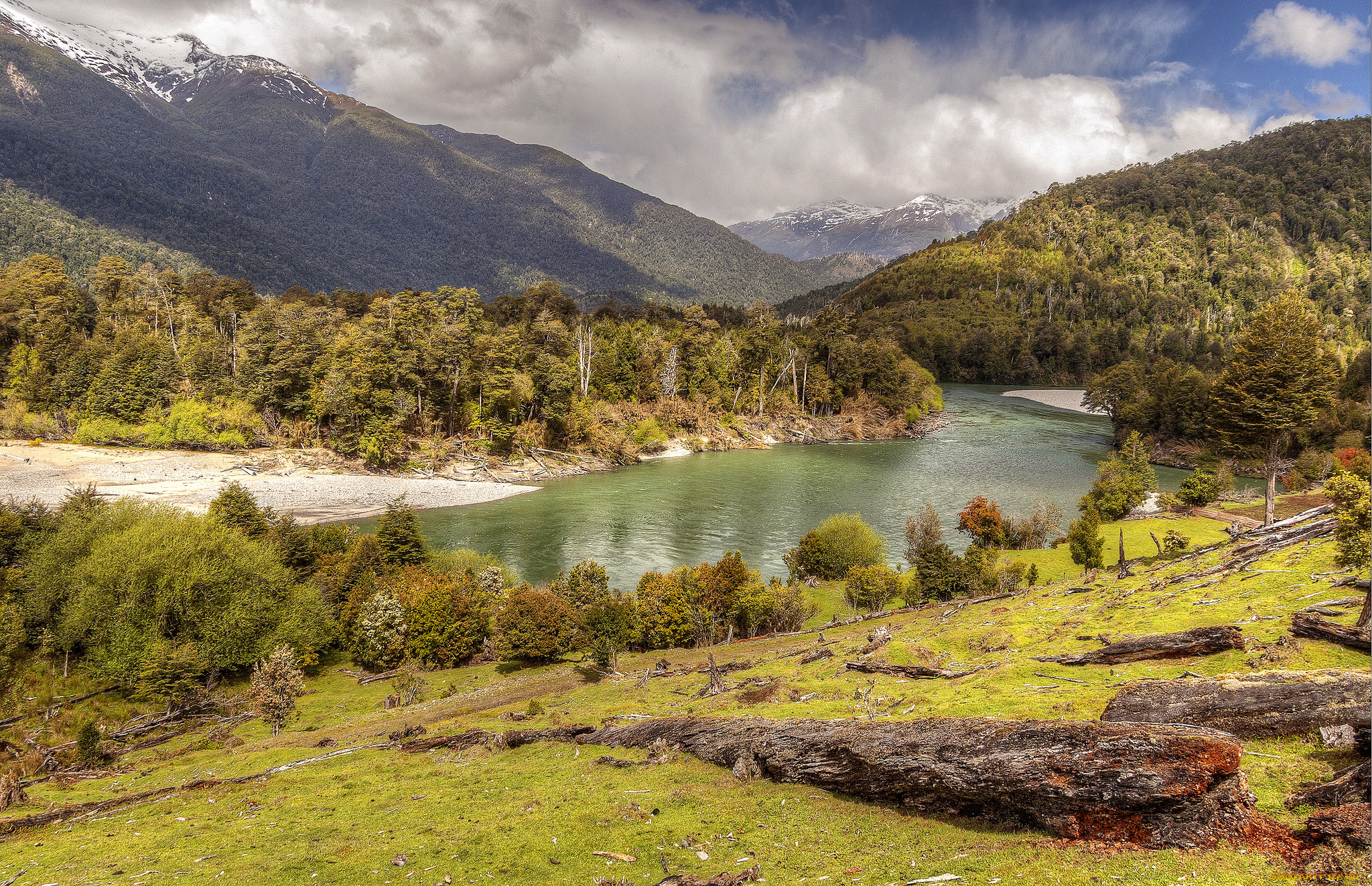 природа, реки, озера, река, лес