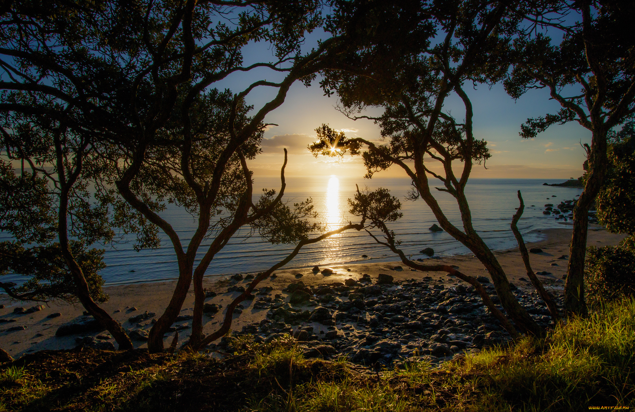 природа, побережье, берег, море