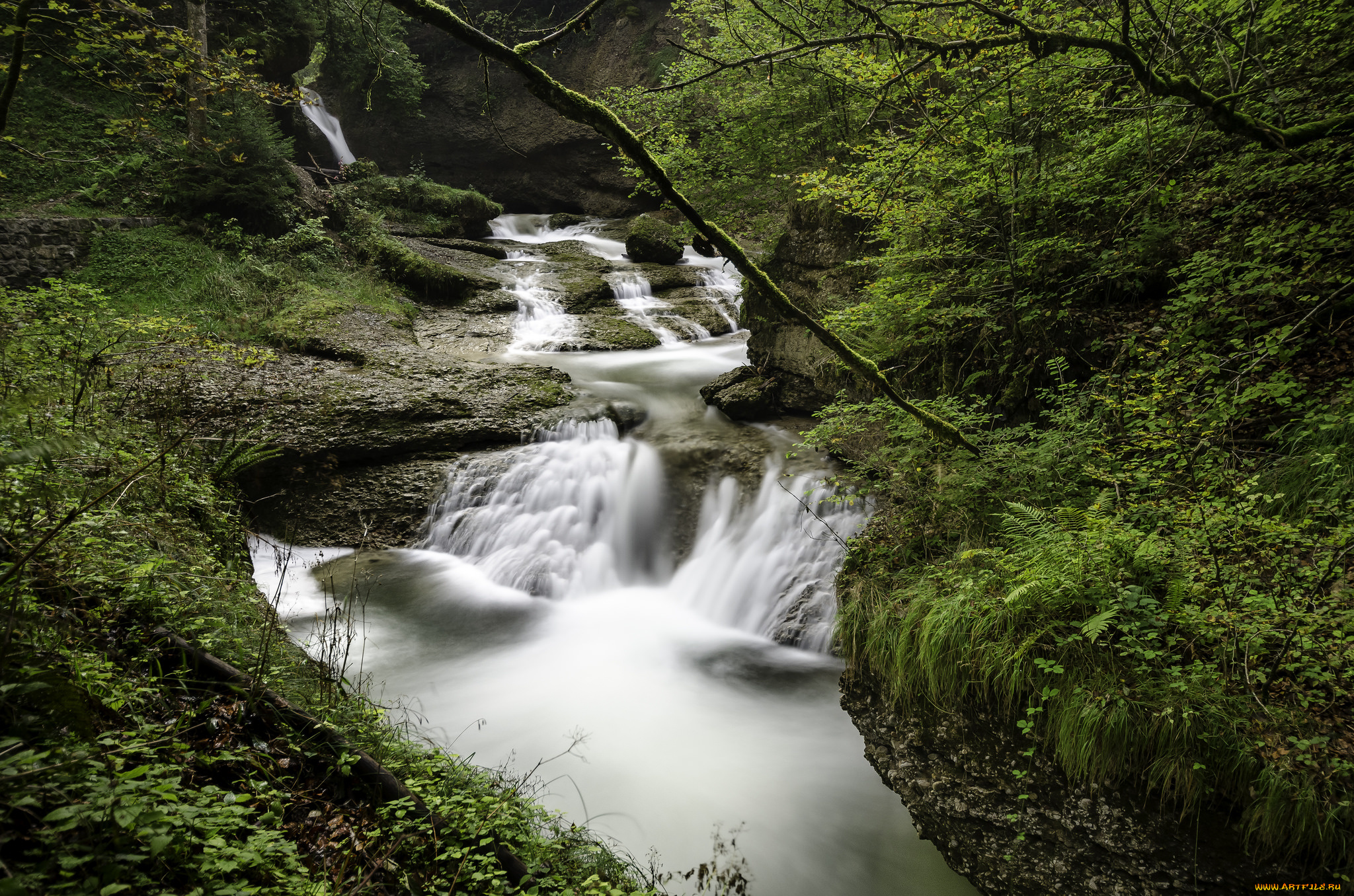 природа, водопады, лес, река, водопад