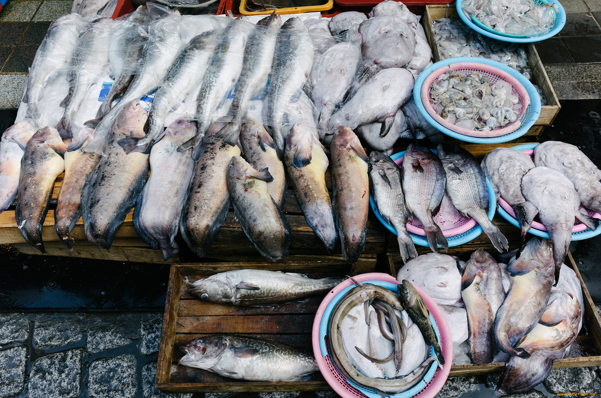 еда, рыба, , морепродукты, , суши, , роллы, деликатесы