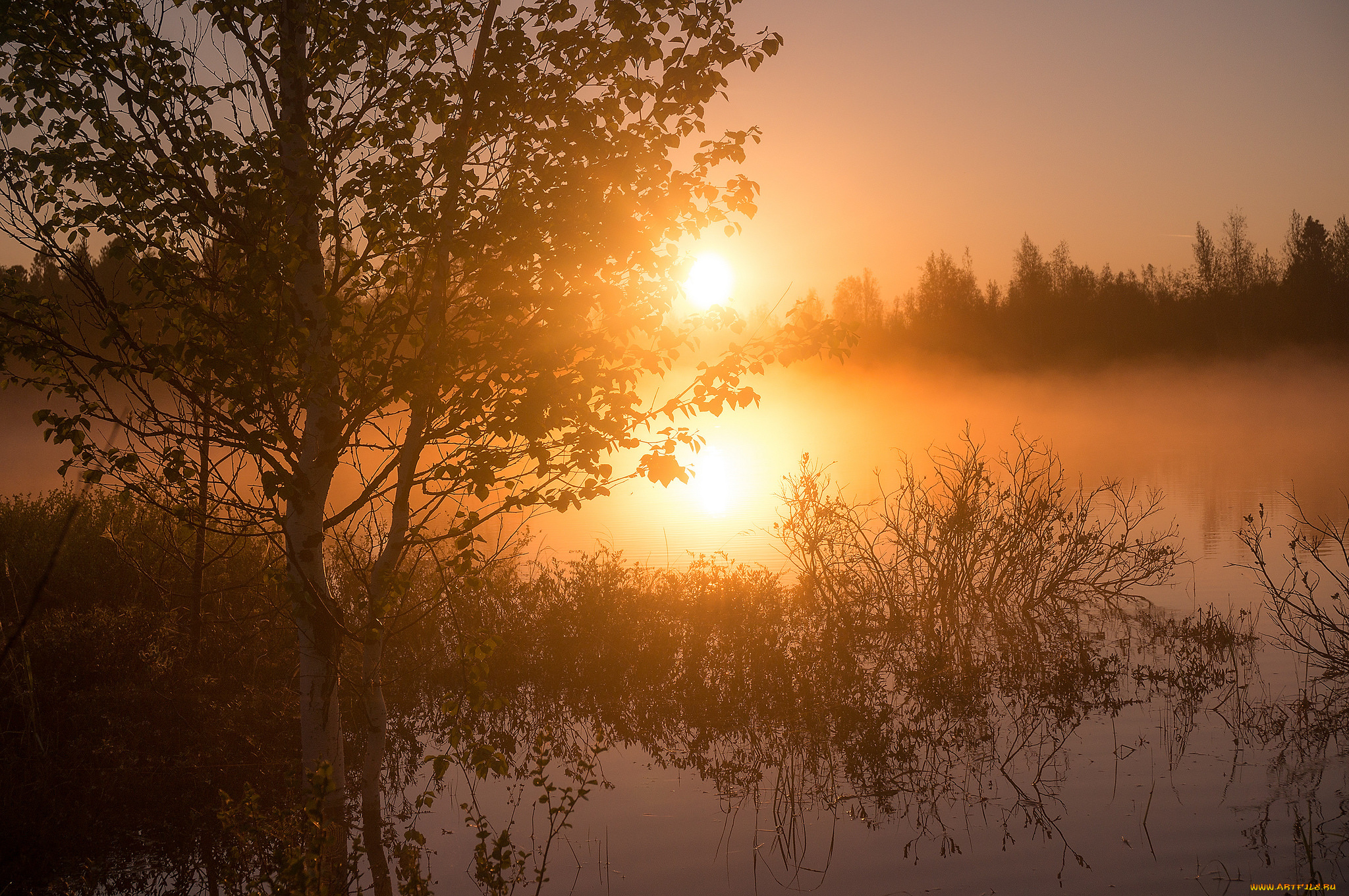 природа, восходы, закаты, рассвет