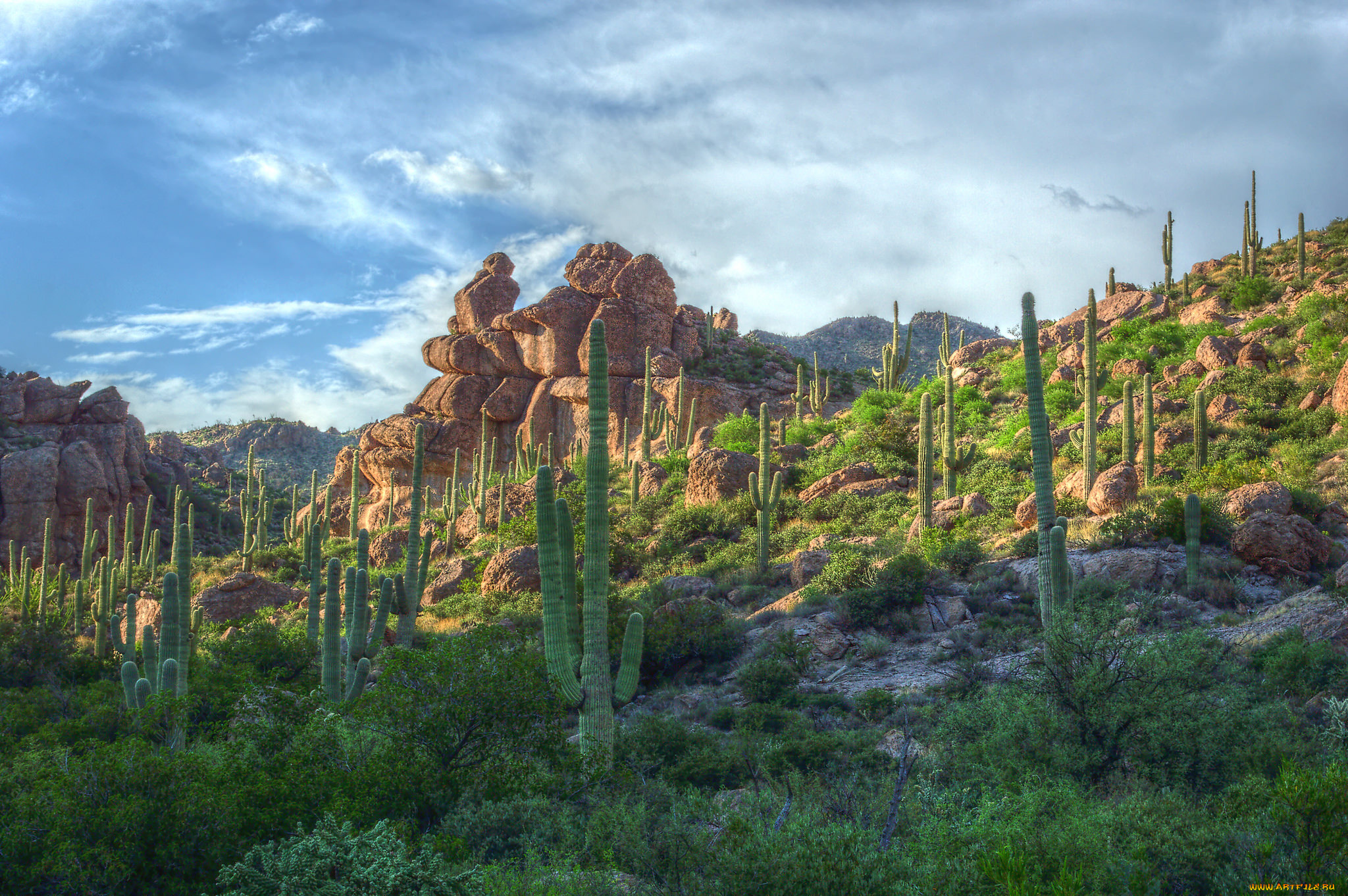 природа, горы, простор