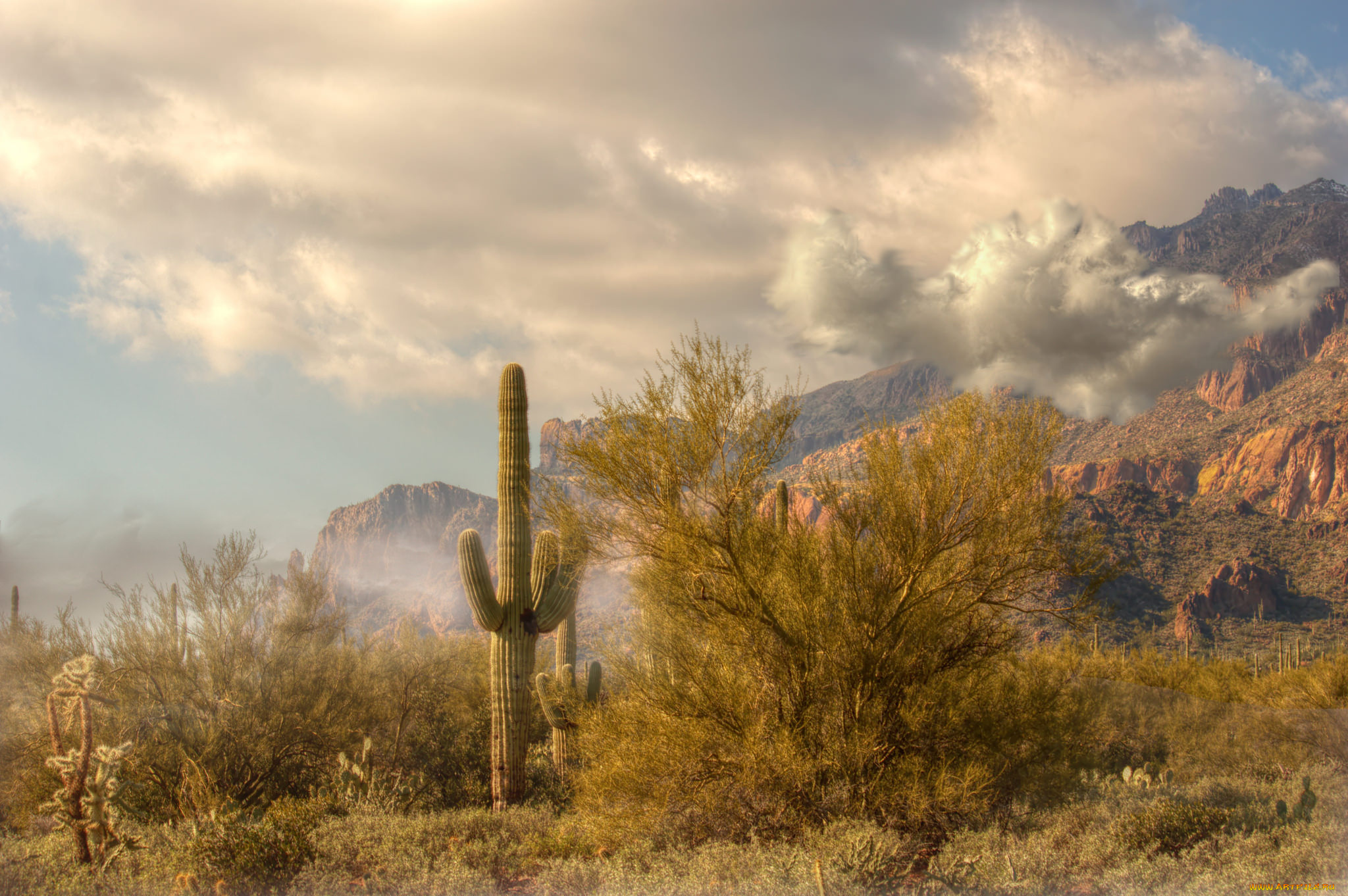 природа, горы, простор