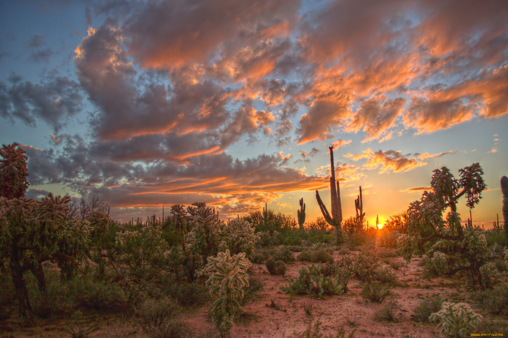 природа, восходы, закаты, рассвет