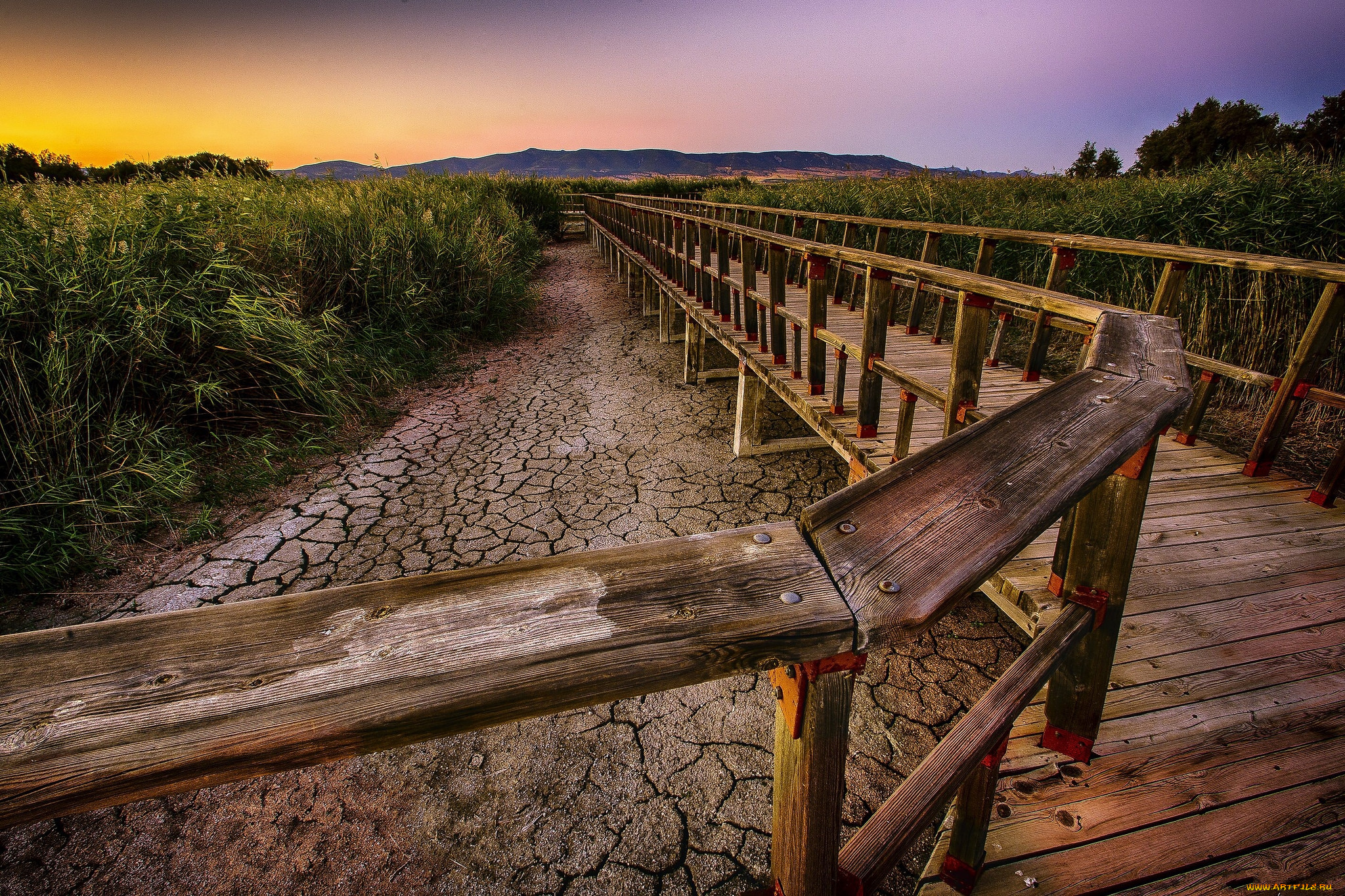 природа, дороги, тракт