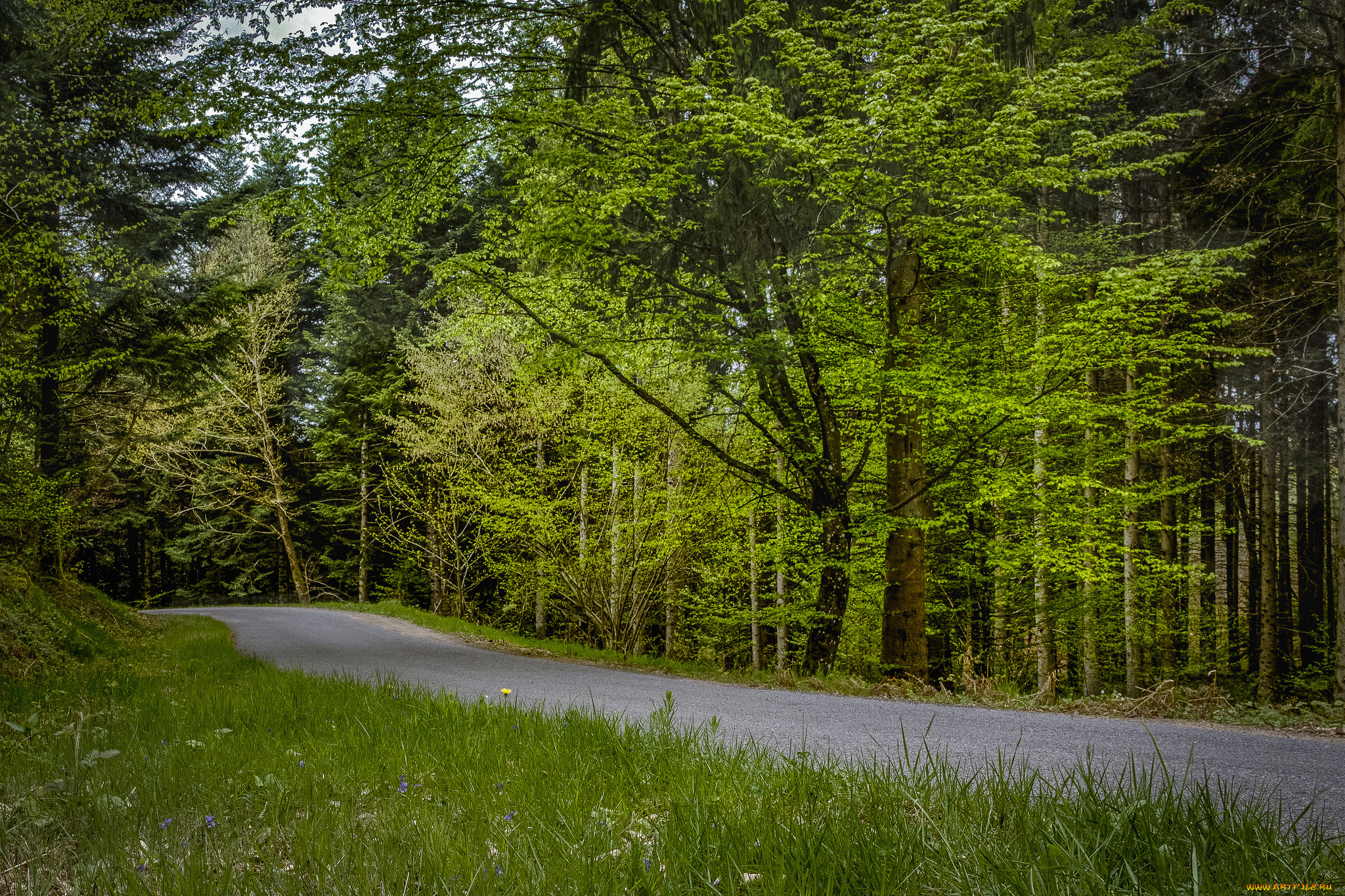 природа, дороги, тракт