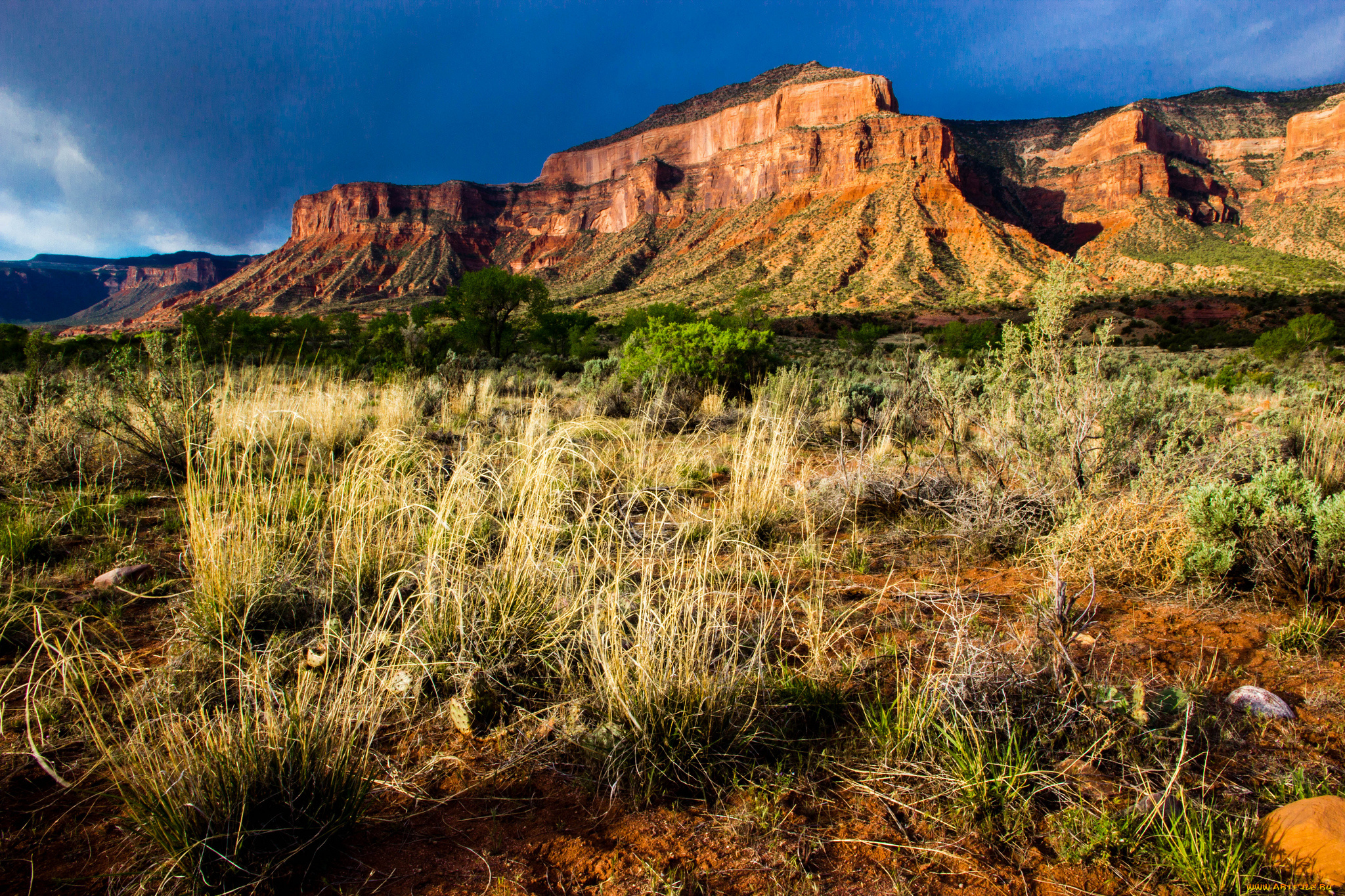 природа, горы, простор